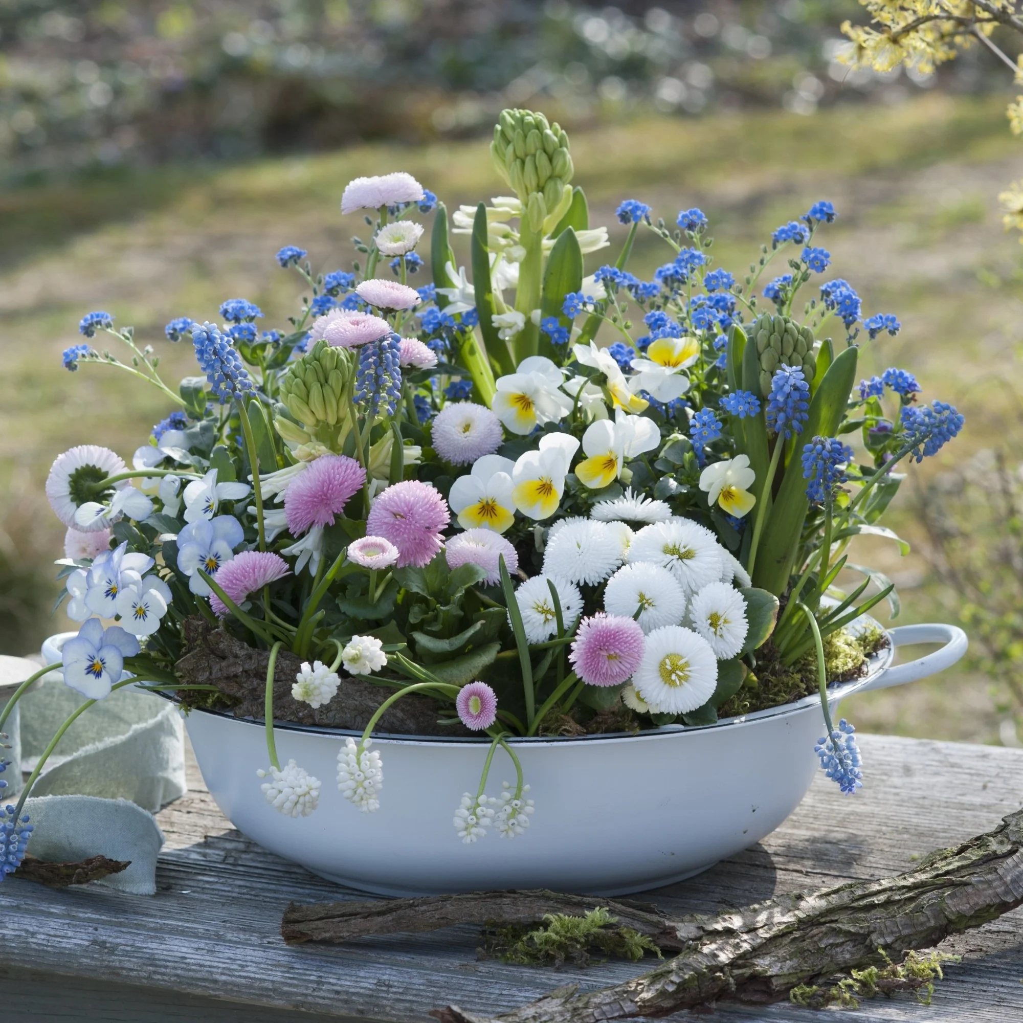 Balkonblumen "Bienenfreundlicher Frühlingsmix"