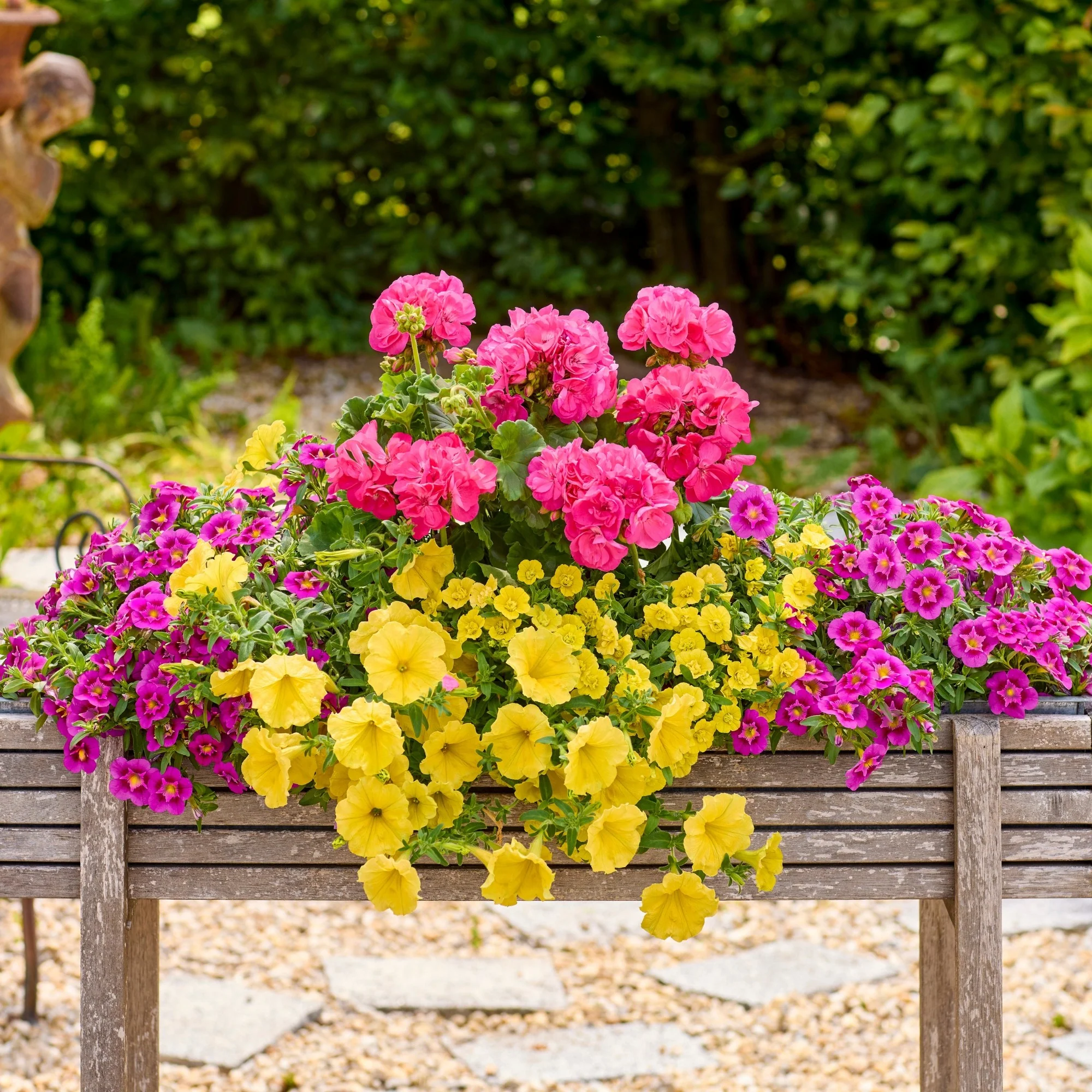 Balkonblumen "Endlose Blütenoase“