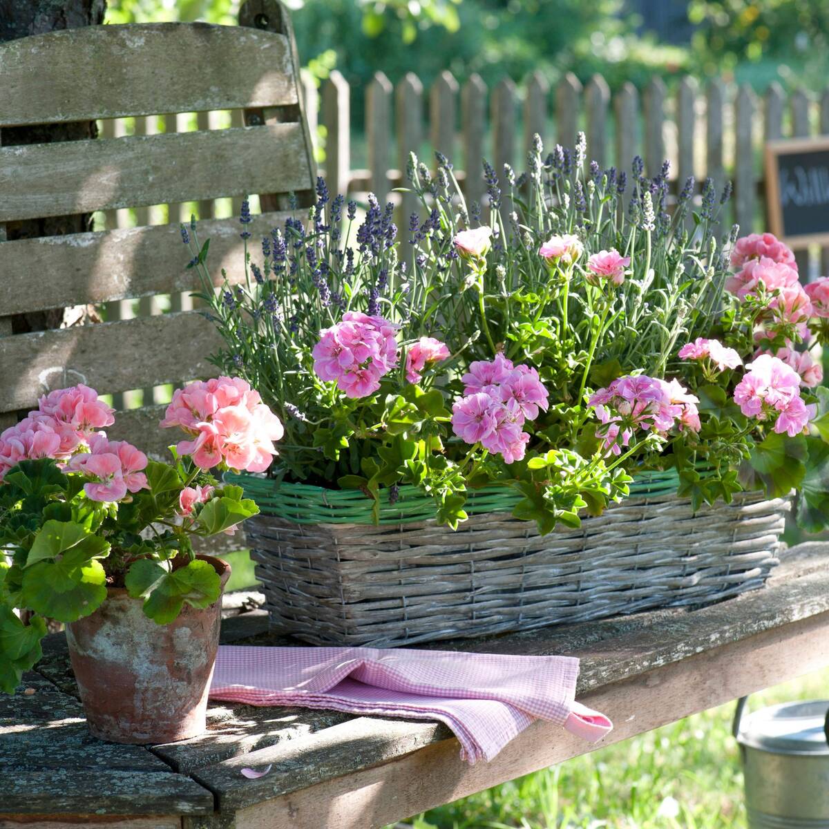 Balkonblumen "Landhaus-Romantik"