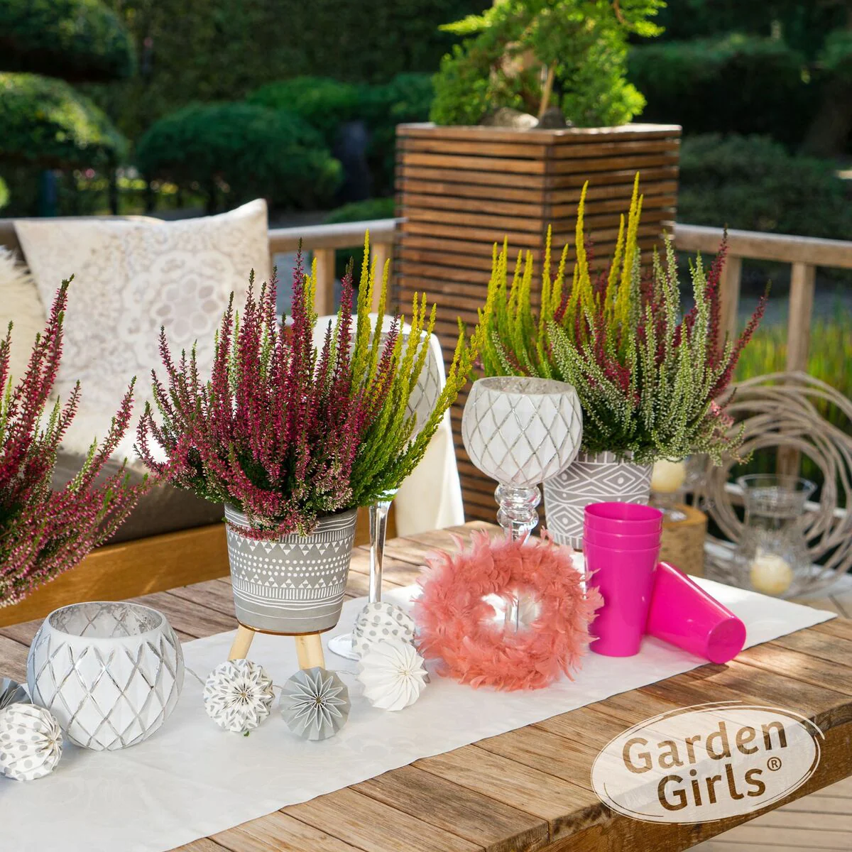 Besenheide 'Trio Gardengirls®' - Image 5