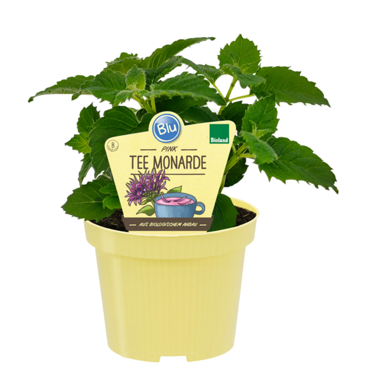 Bio Tee-Monarde - Image 2