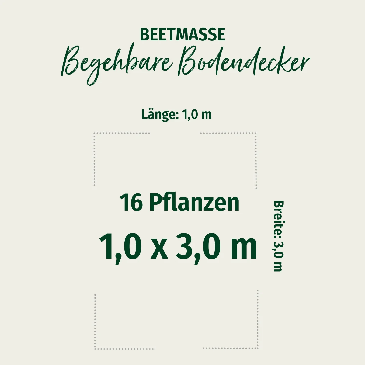 Bodendecker-Set "Begehbare Bodendecker" - Image 2