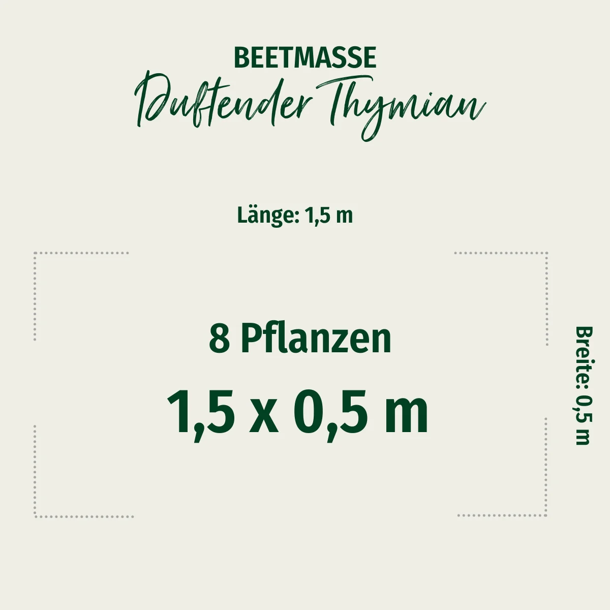 Bodendecker-Set "Duftender Thymian" - Image 2