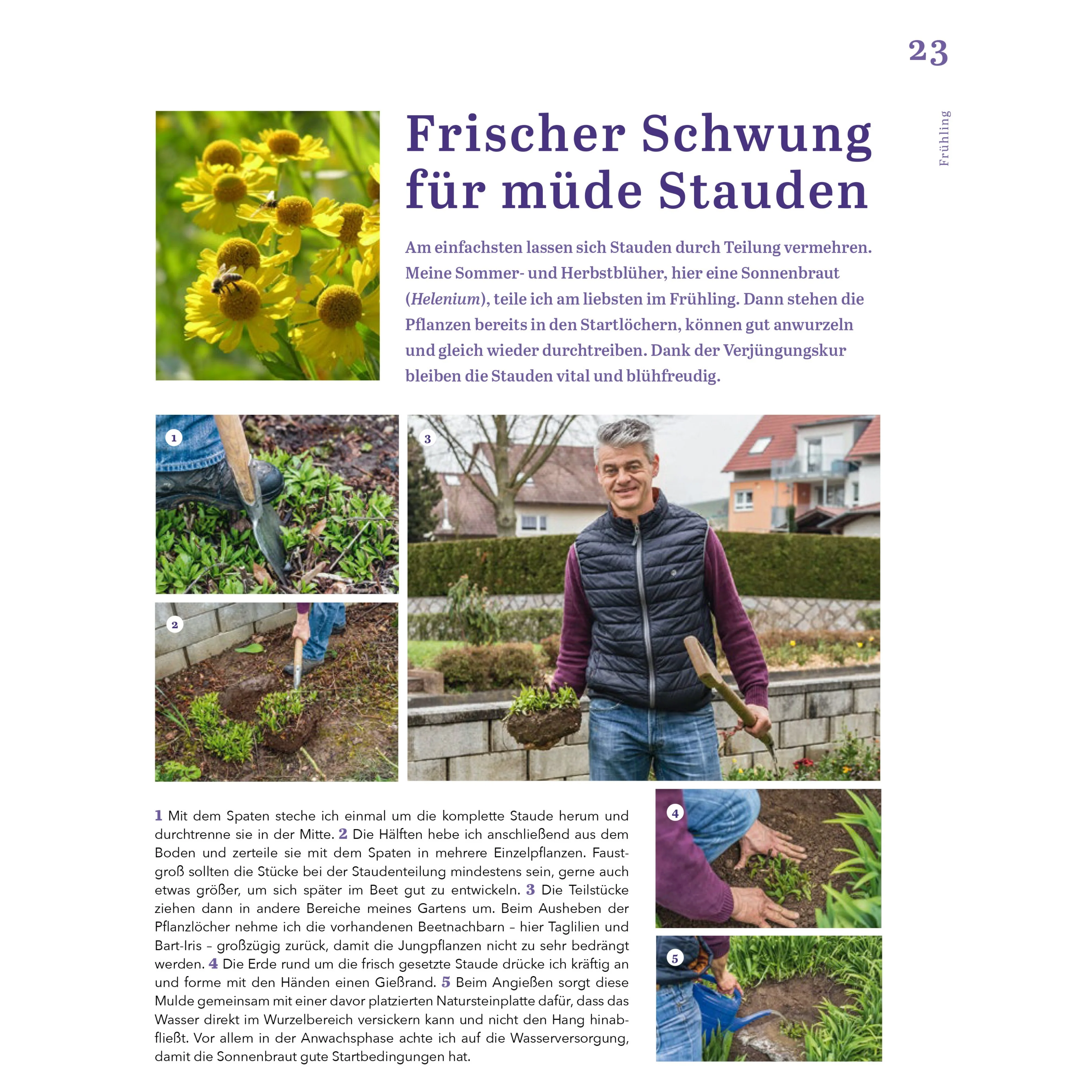 Das Ratgeberbuch 'Dein schöner Garten' - Image 12