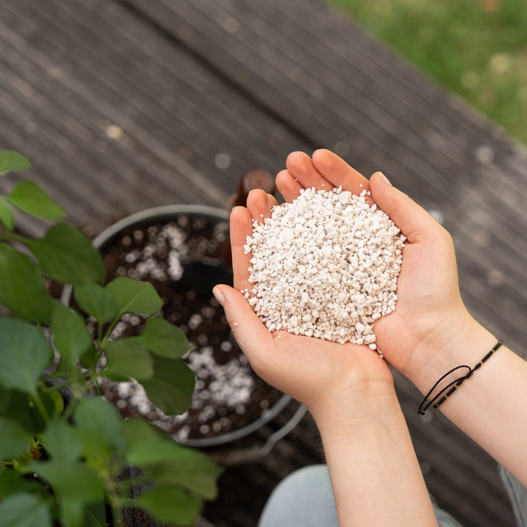 Floragard Perlite - Image 6