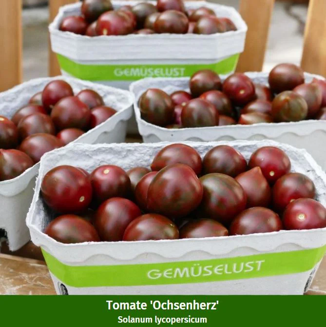 Gemüse-Set "Besondere Gemüsefreude" - Image 7