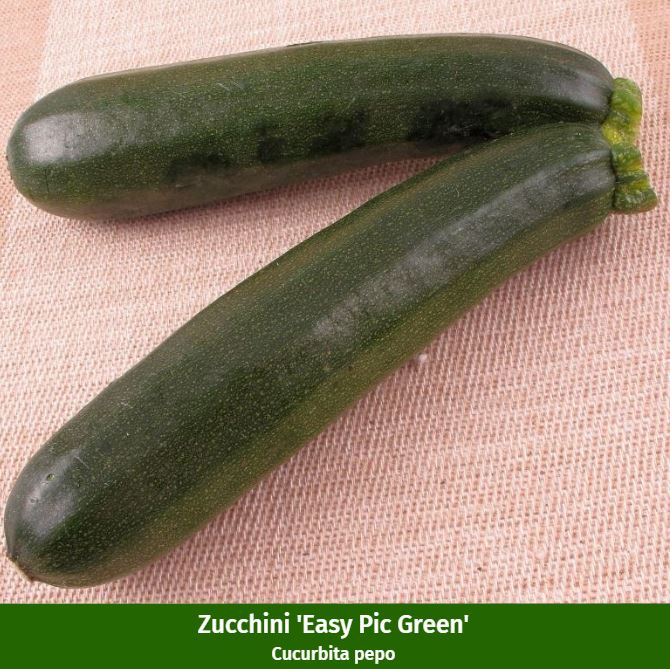Gemüse-Set "Mediterraner Genuss" - Image 7