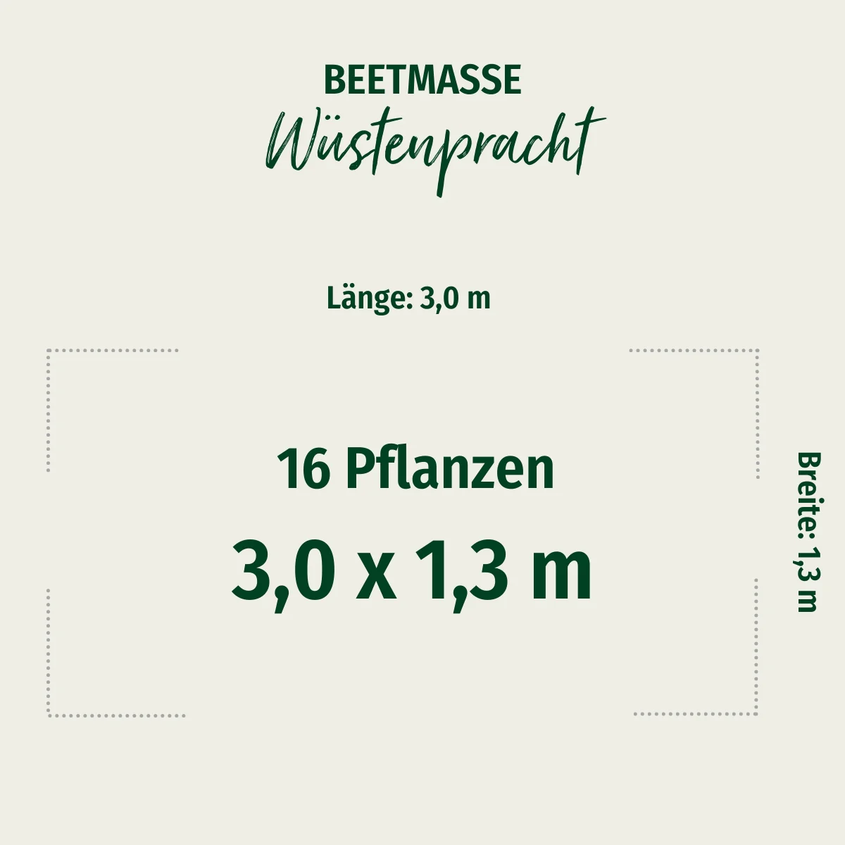 Gräser- und Staudenbeet "Wüstenpracht" - Image 2