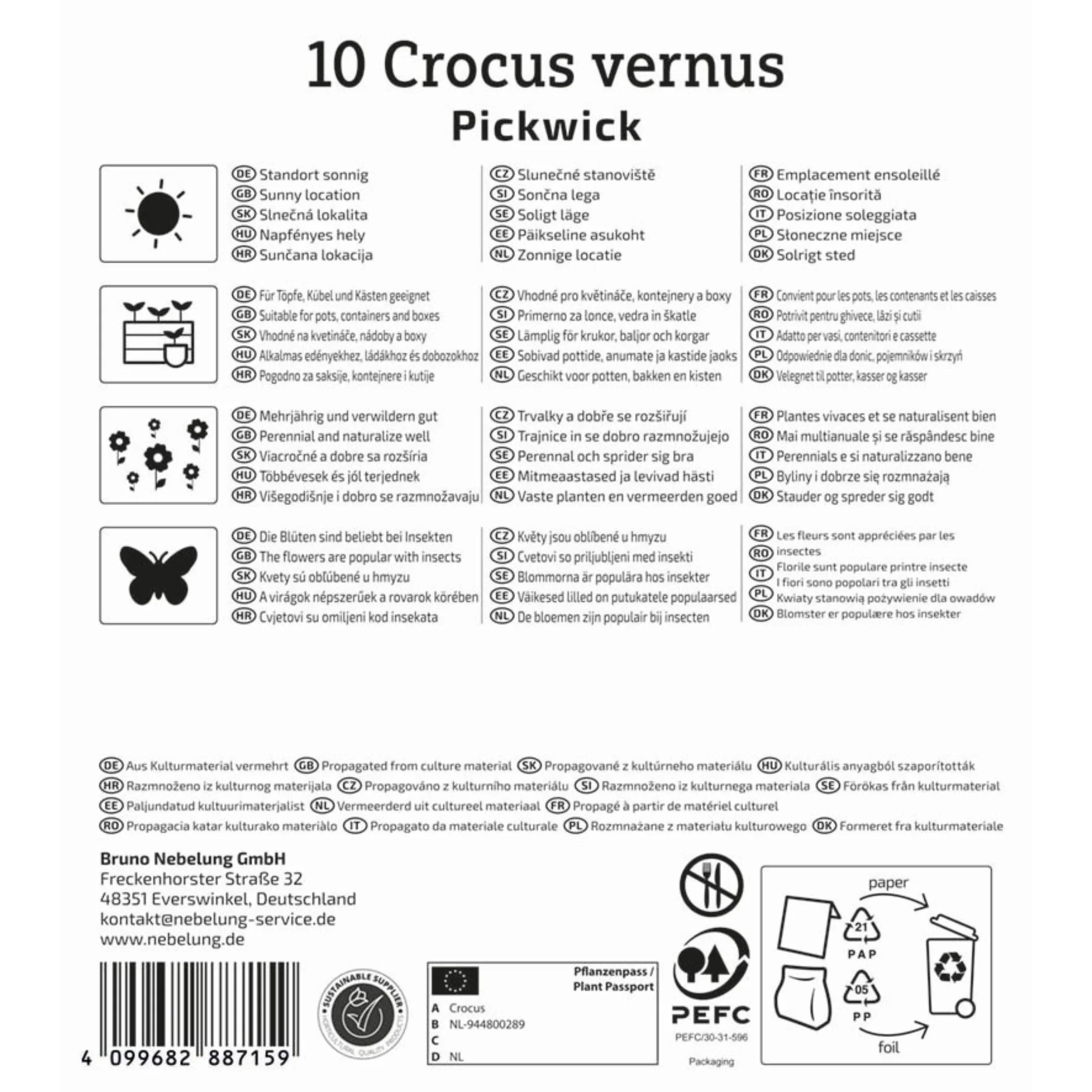 Großblumiger Krokus 'Pickwick', 10 Zwiebeln - Image 2