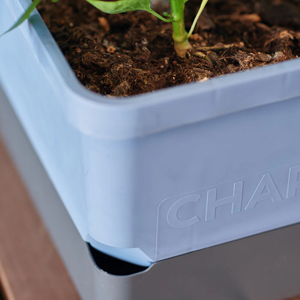 Gusta Garden CHARLY CHILI - Image 31