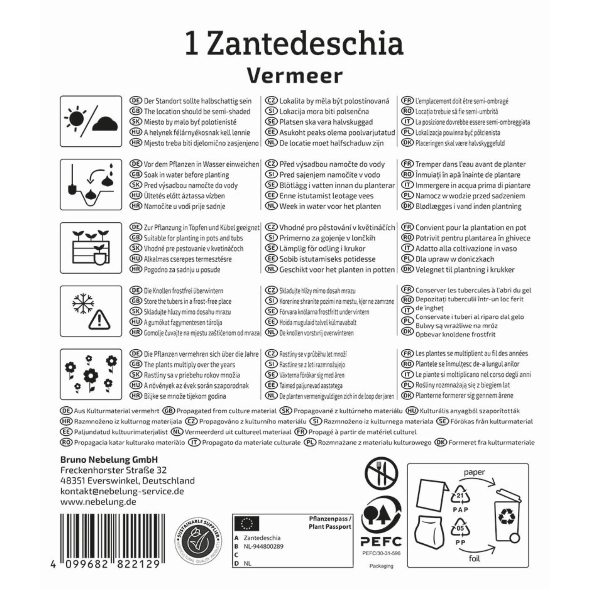 Kiepenkerl Calla 'Vermeer', 1 Zwiebel - Image 2