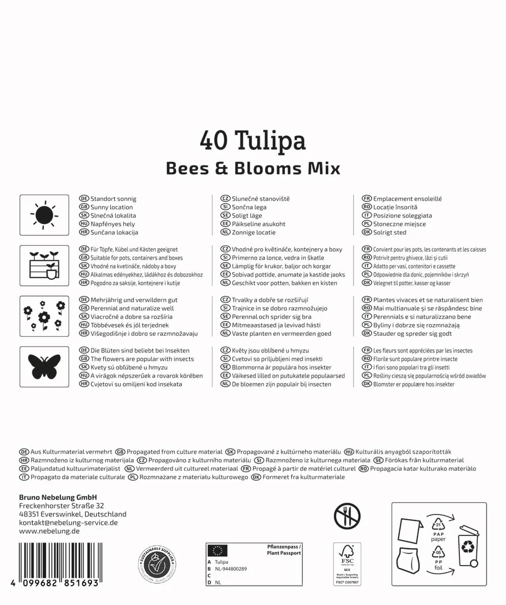 Kiepenkerl Mega Pack 'Bees & Blooms', 40 Zwiebeln - Image 2