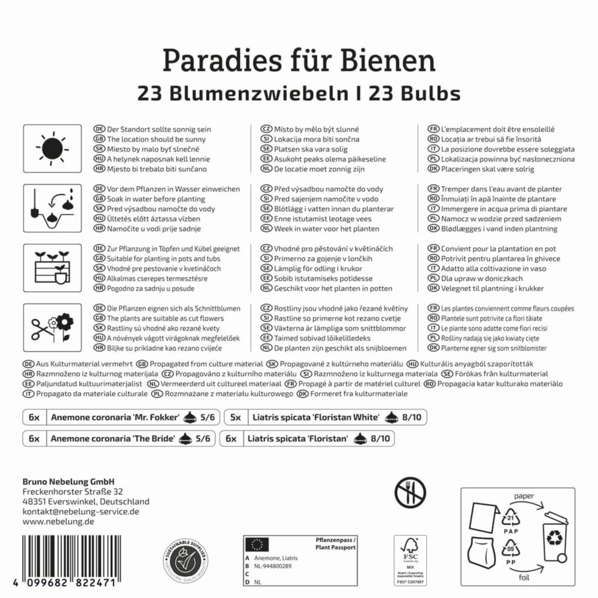 Kiepenkerl Mega-Pack Blumenzwiebelmischung 'Paradies für Bienen', 23 Zwiebeln - Image 2