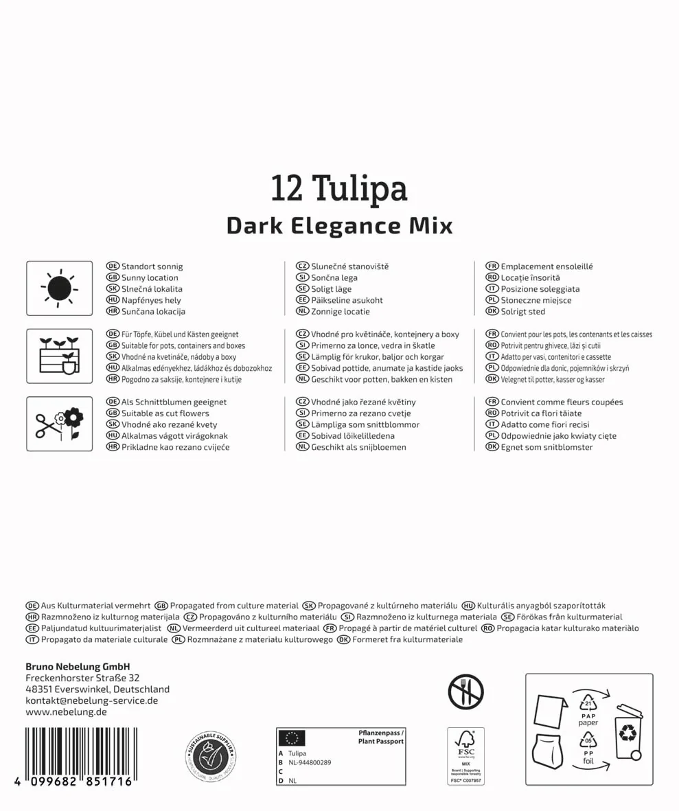 Kiepenkerl Mega Pack 'Dark Elegance', 12 Zwiebeln - Image 2