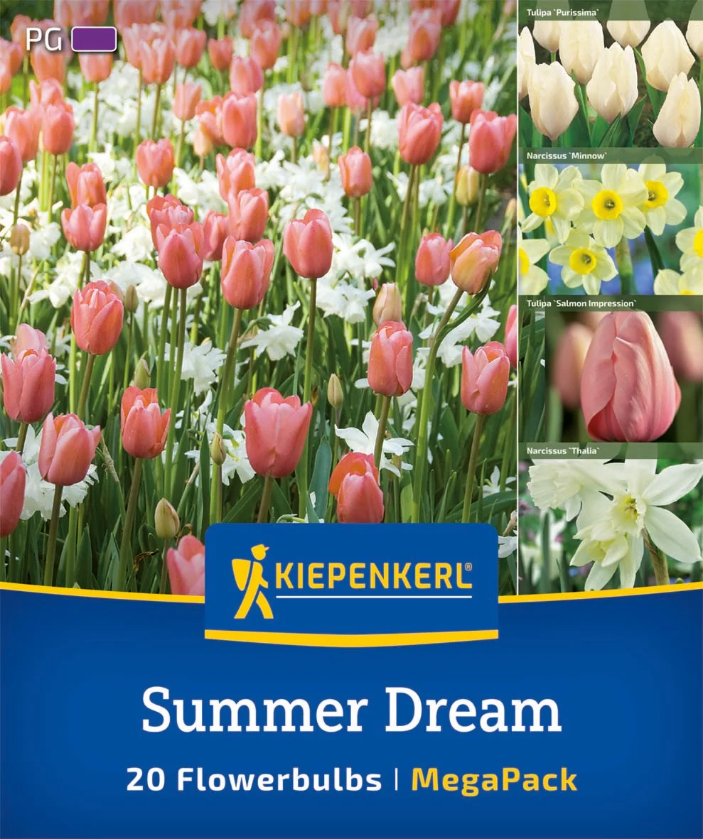 Kiepenkerl Mega Pack 'Summer Dream', 20 Zwiebeln