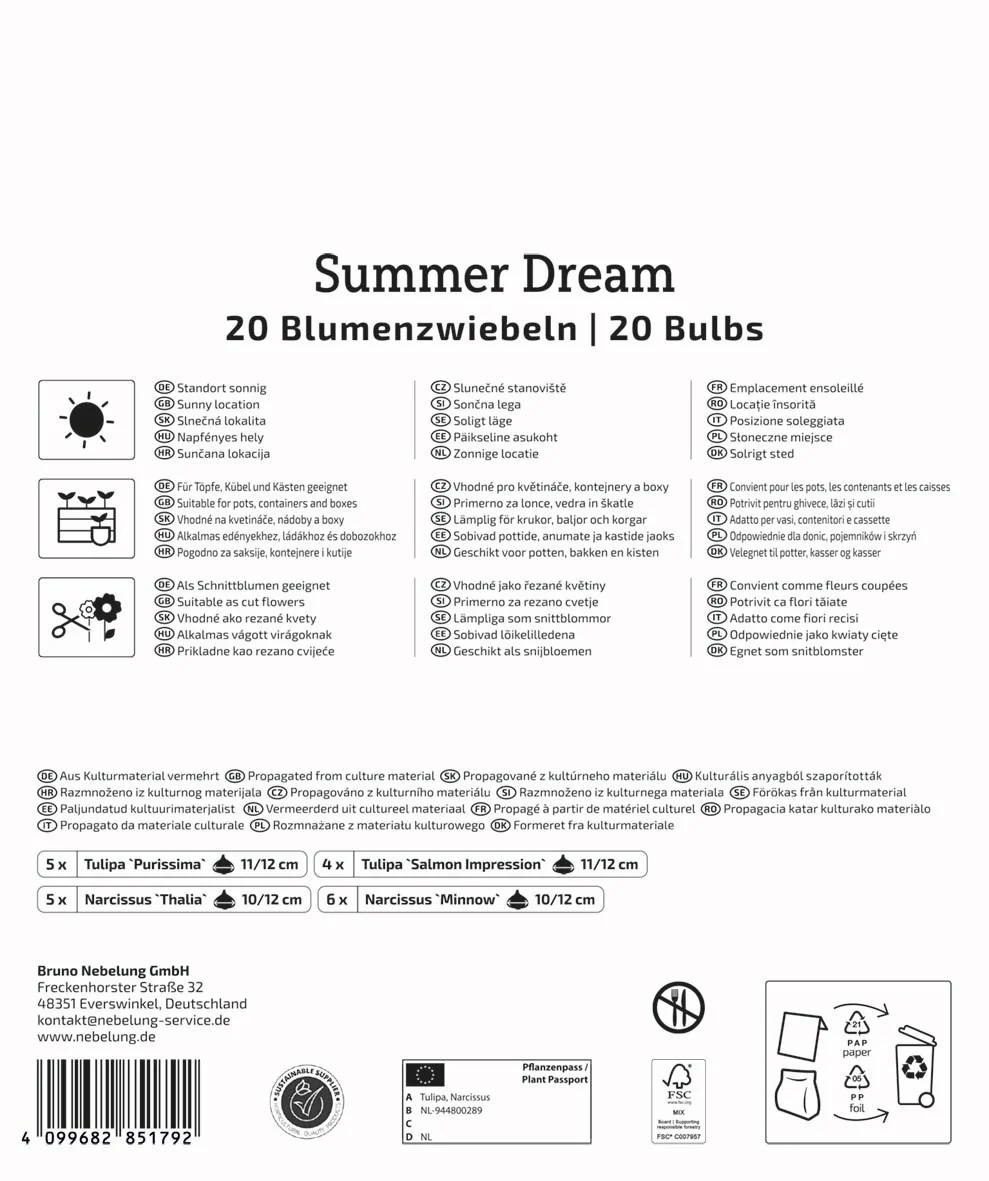 Kiepenkerl Mega Pack 'Summer Dream', 20 Zwiebeln - Image 2
