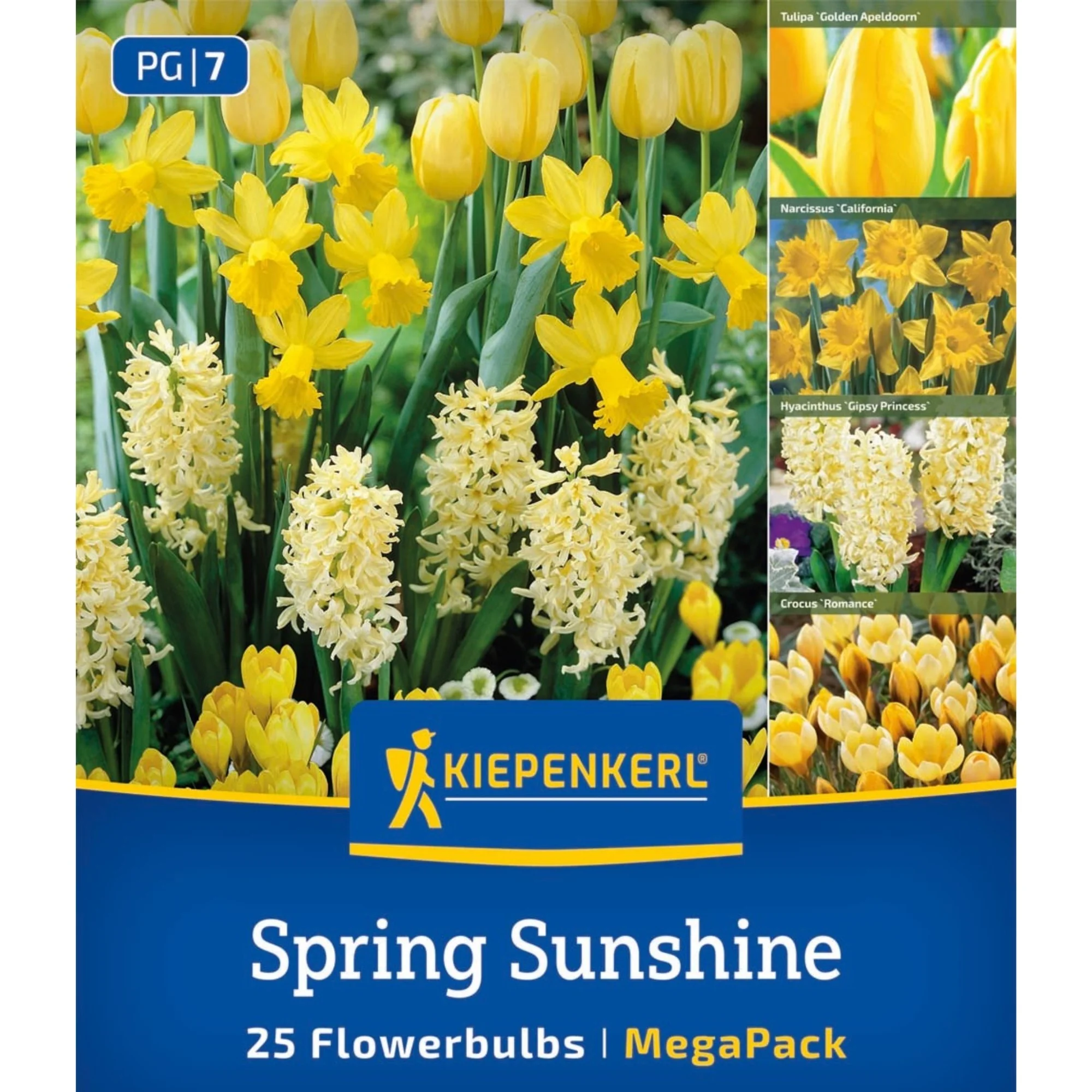 Kiepenkerl Mega Pack 'Sunny Bloom', 25 Zwiebeln