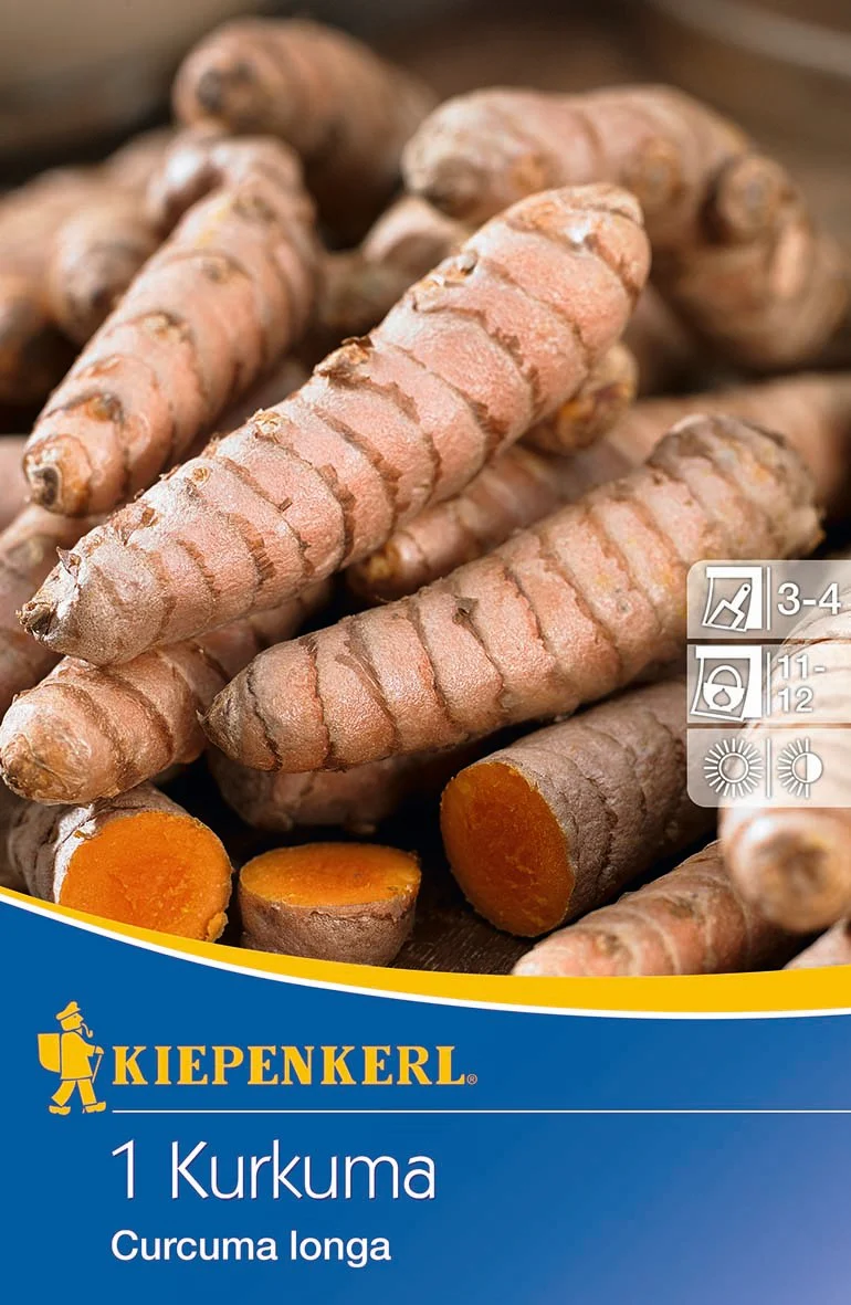 Kiepenkerl Samen-Set "Aromatische Wurzelgewächse" - Image 4