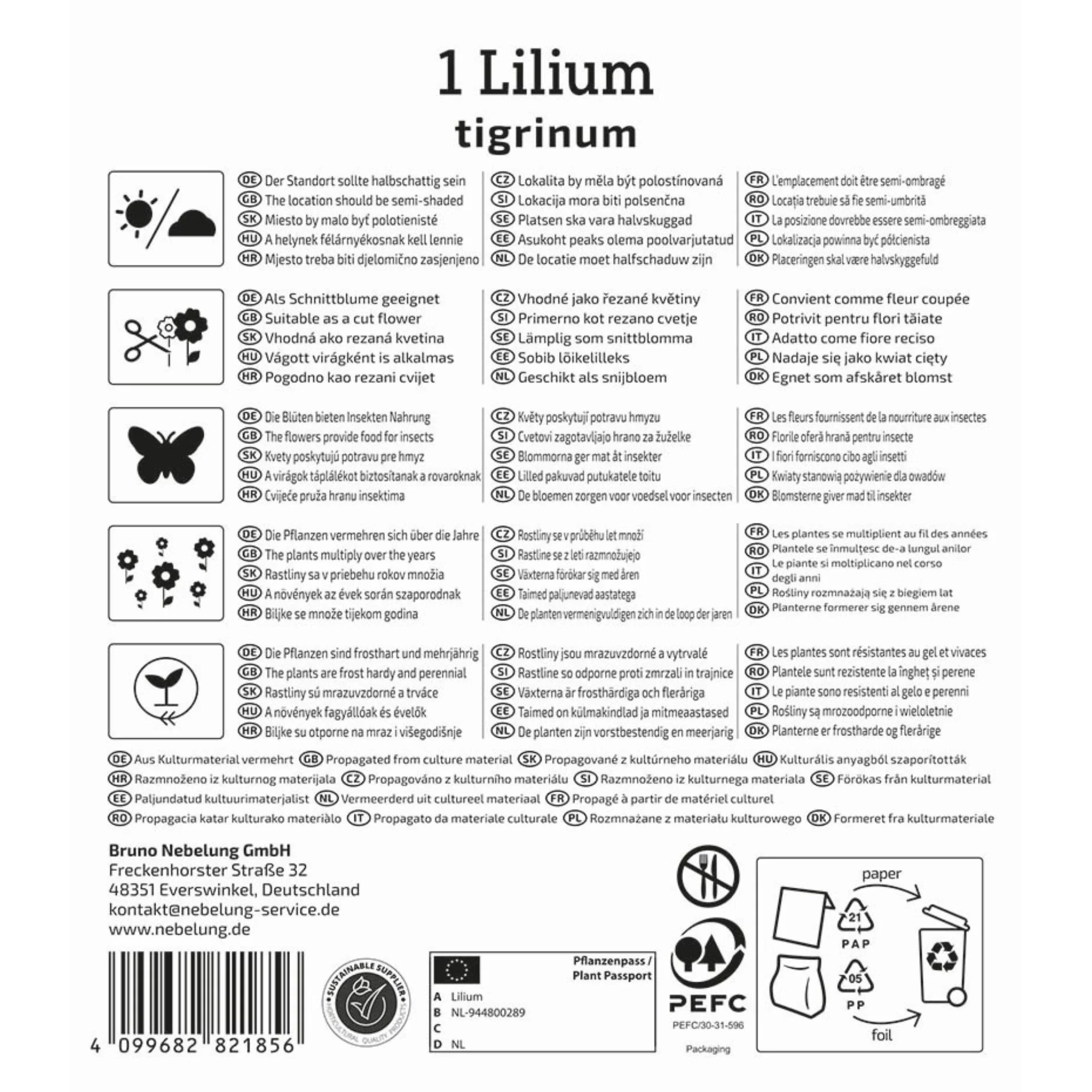 Kiepenkerl Tigerlilie, 1 Zwiebel - Image 2