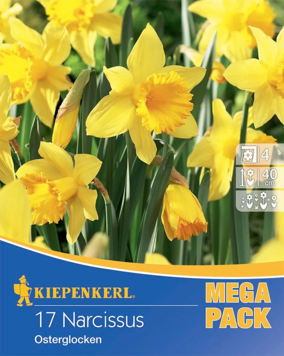Mega-Pack Osterglocke, 17 Zwiebeln