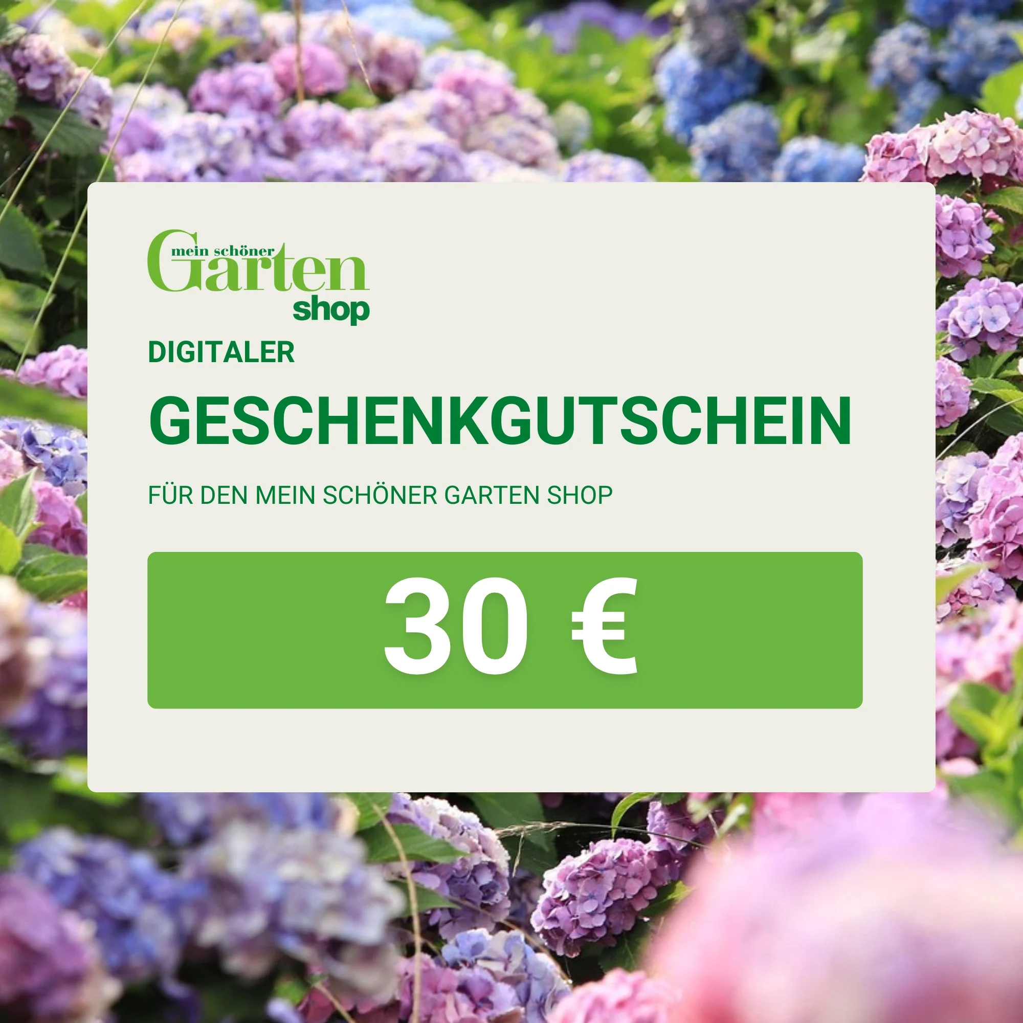 Mein schöner Garten Shop-Gutschein - Image 3