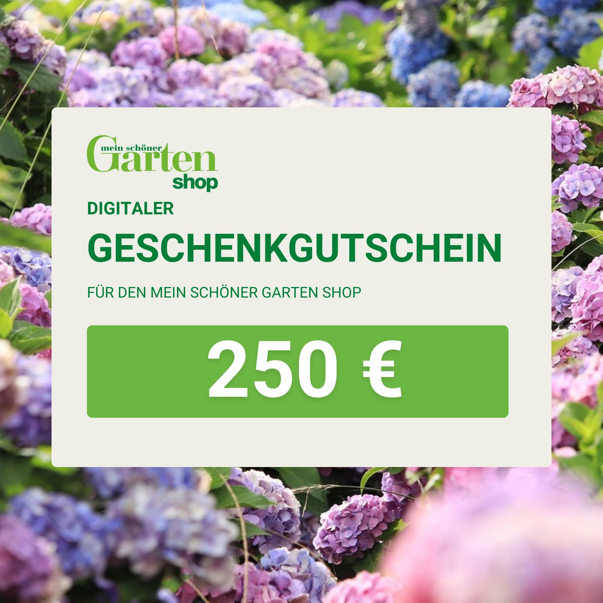 Mein schöner Garten Shop-Gutschein - Image 7