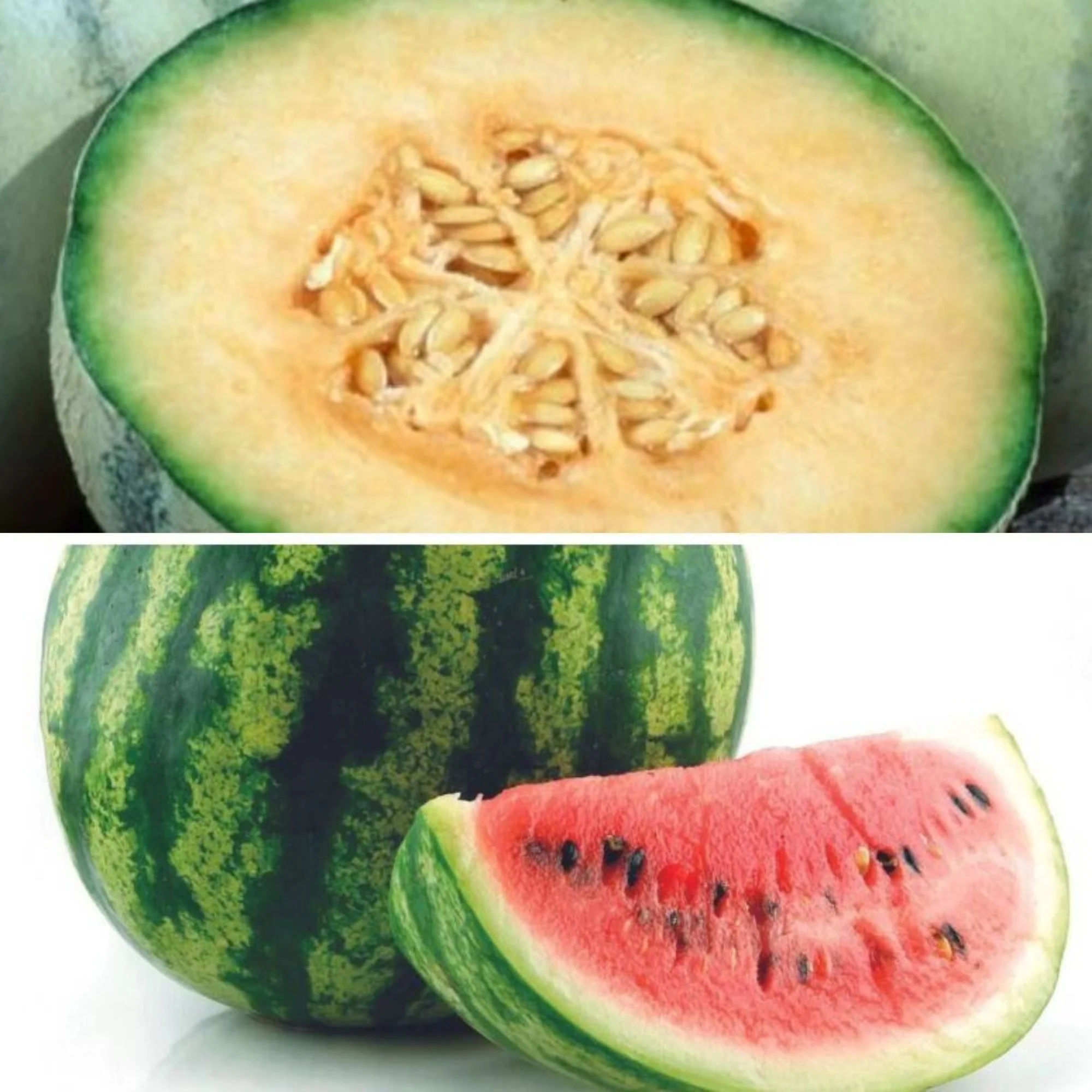 Melonen Variation