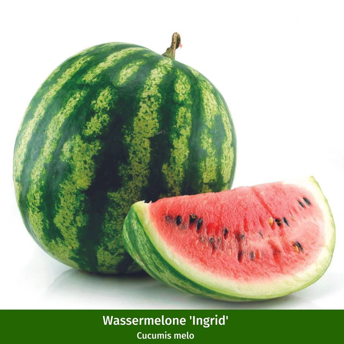 Melonen Variation - Image 2