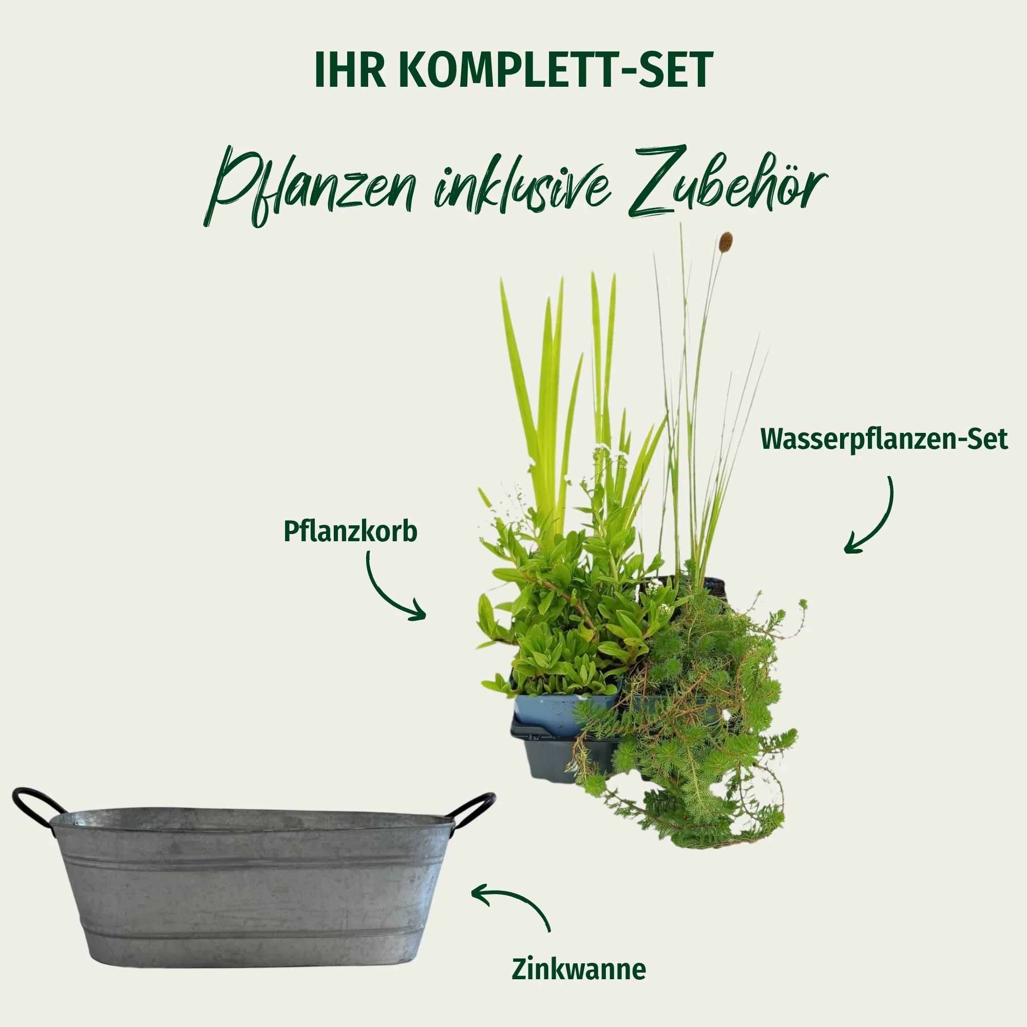 Miniteich in ovaler Zinkwanne - Image 2