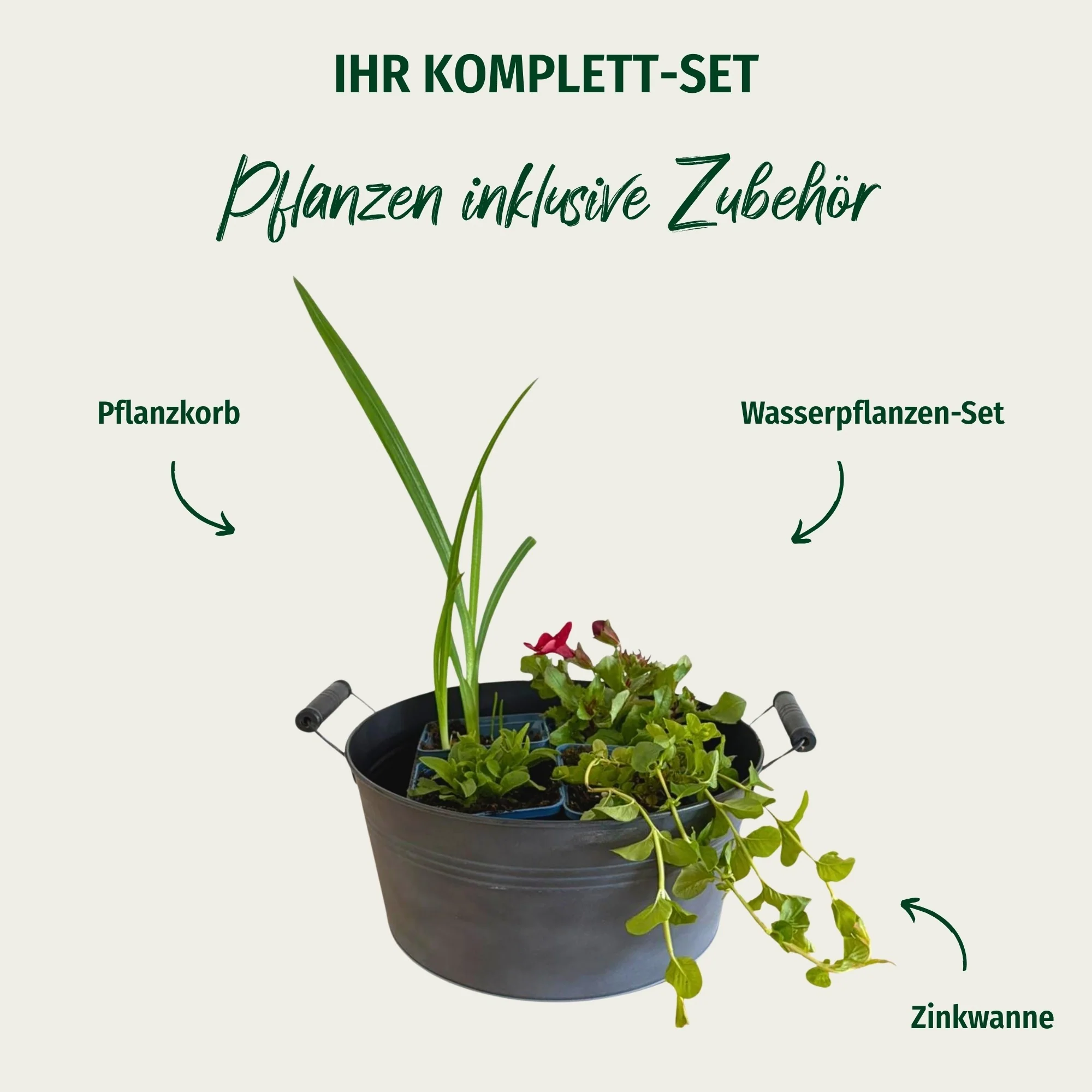 Miniteich mit Zinkwanne "Bienenparadies am Teich" - Image 4