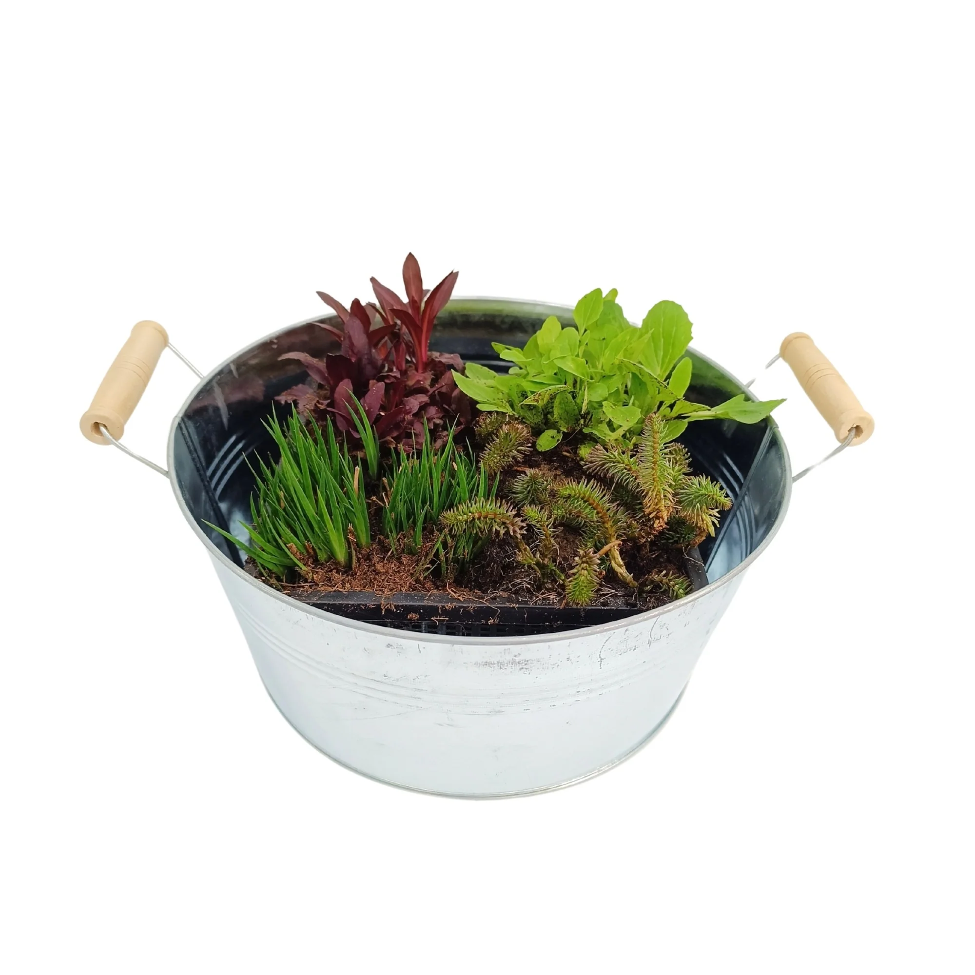 Miniteich mit Zinkwanne "Starter Set"