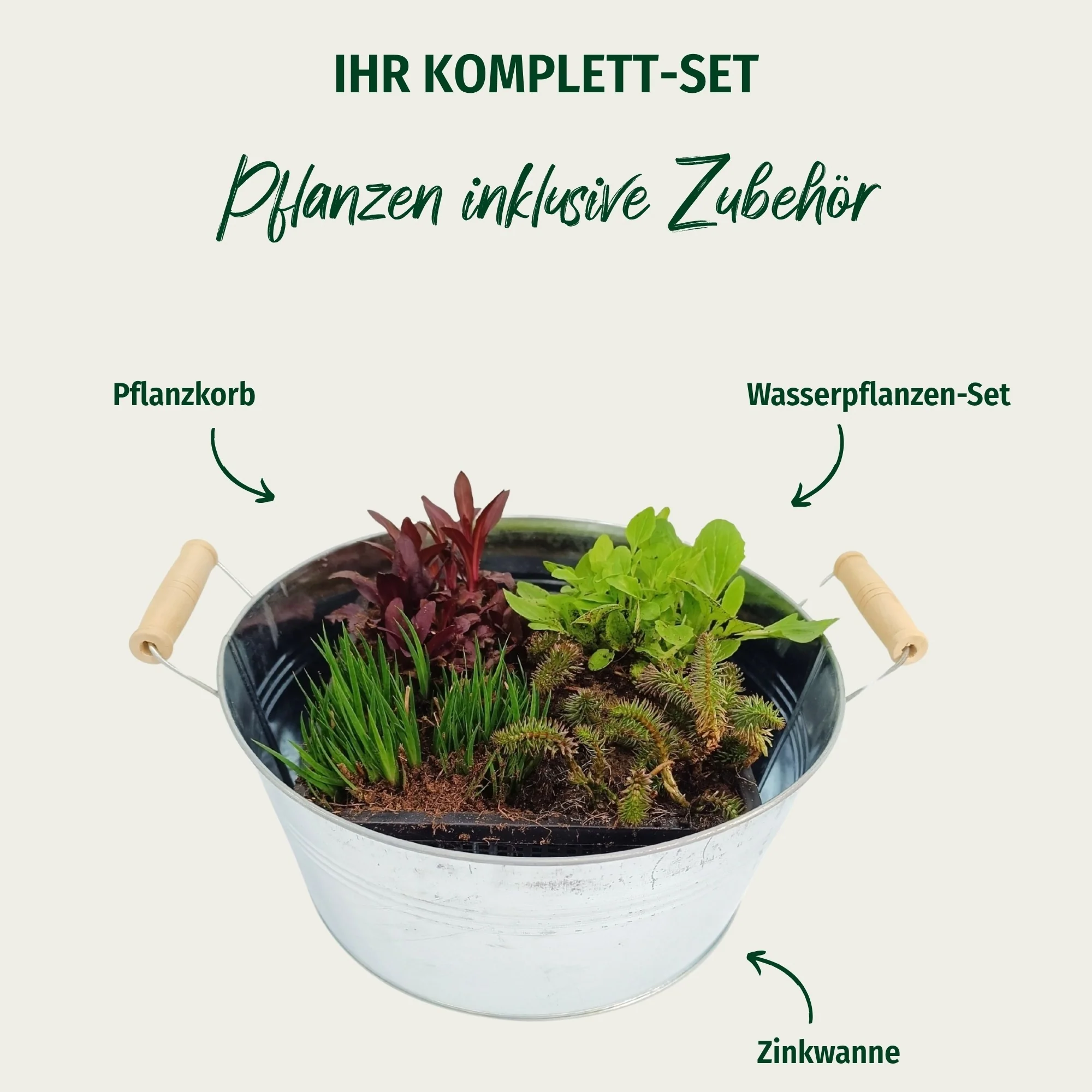 Miniteich mit Zinkwanne "Starter Set" - Image 2