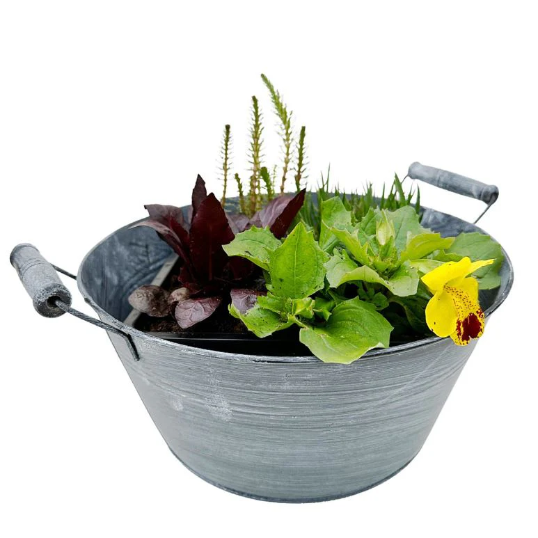 Miniteich mit Zinkwanne "Starter Set" - Image 3