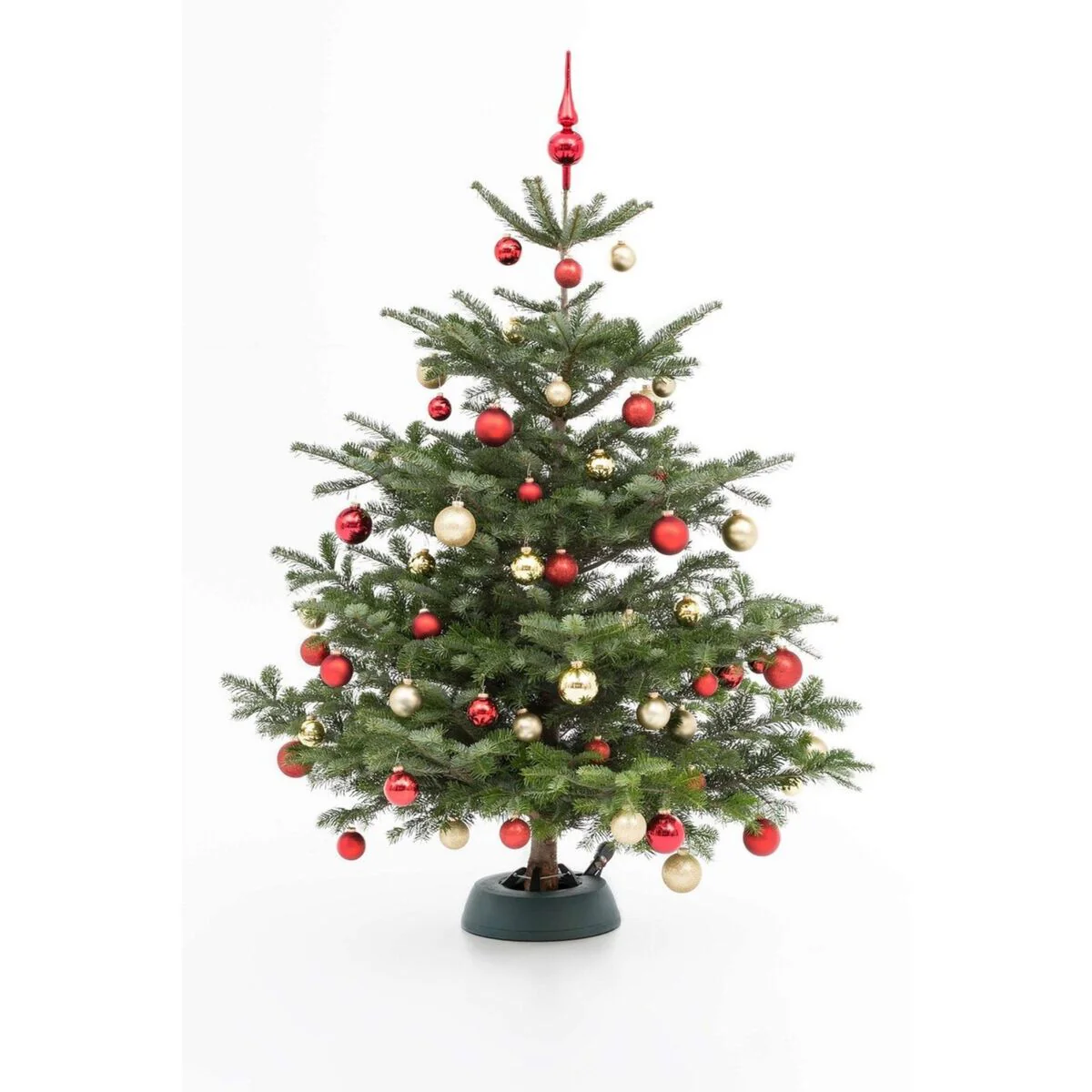 Weihnachtsbaum Nordmanntanne S | ca. 80 – 100 cm - Image 2