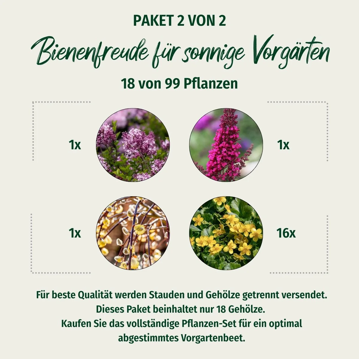 Paket 2 von 2 "Bienenfreude für sonnige Vorgärten"