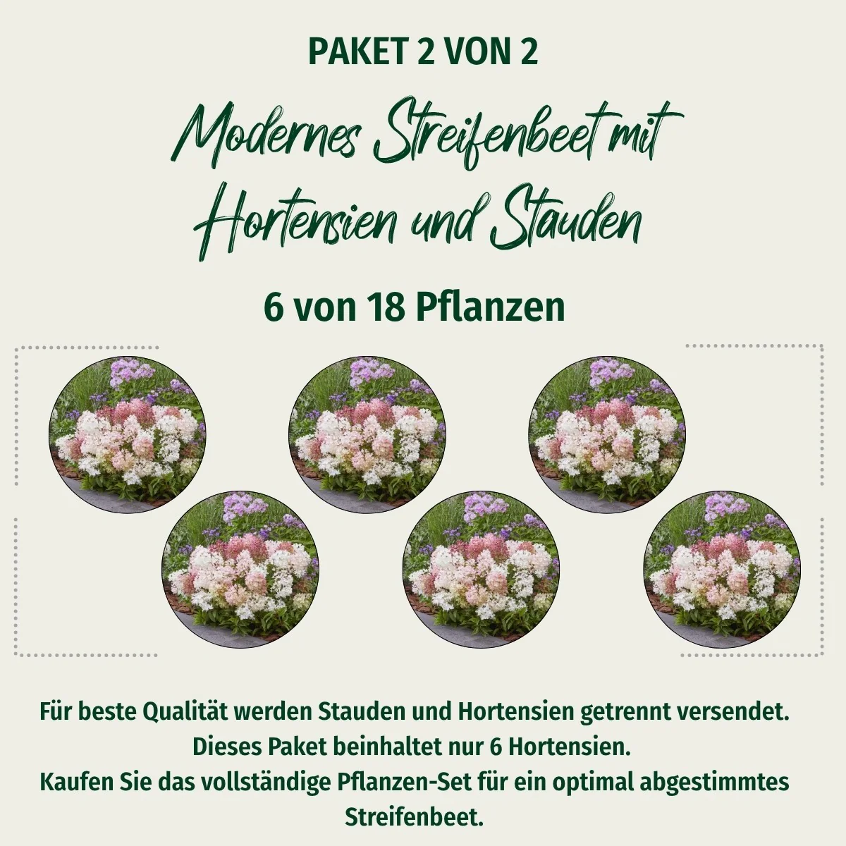 Paket 2 von 2 "Modernes Streifenbeet mit Hortensien und Stauden"