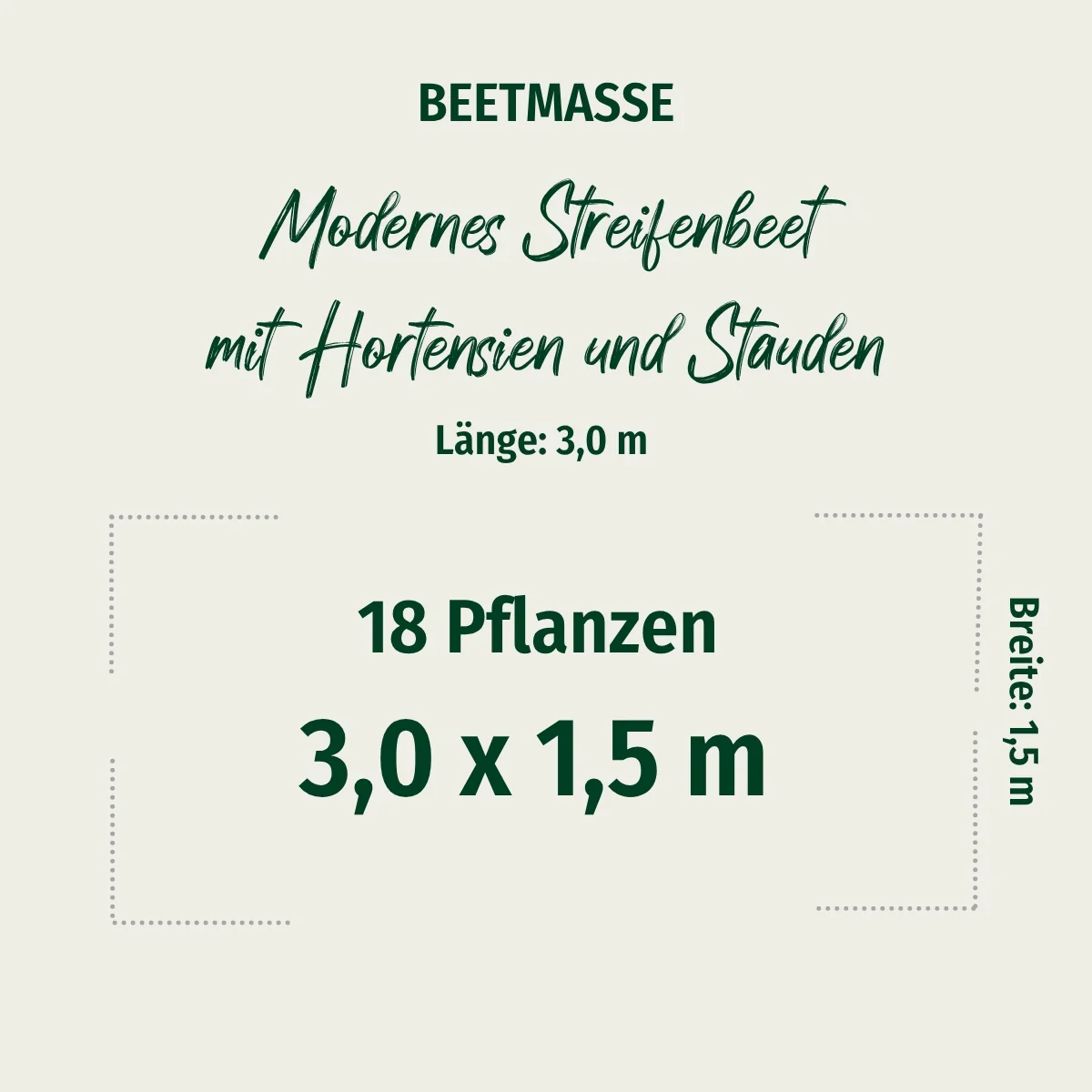 Pflanzen-Set "Modernes Streifenbeet mit Hortensien und Stauden" - Image 2