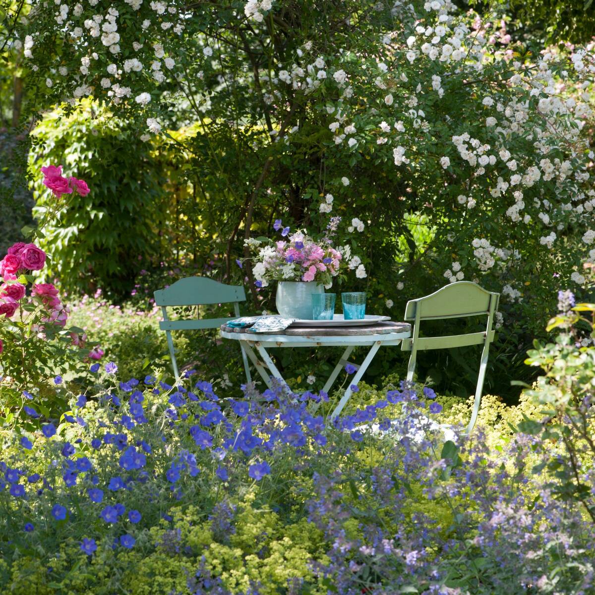 Rosenbeet "Romantischer Gartencharme"