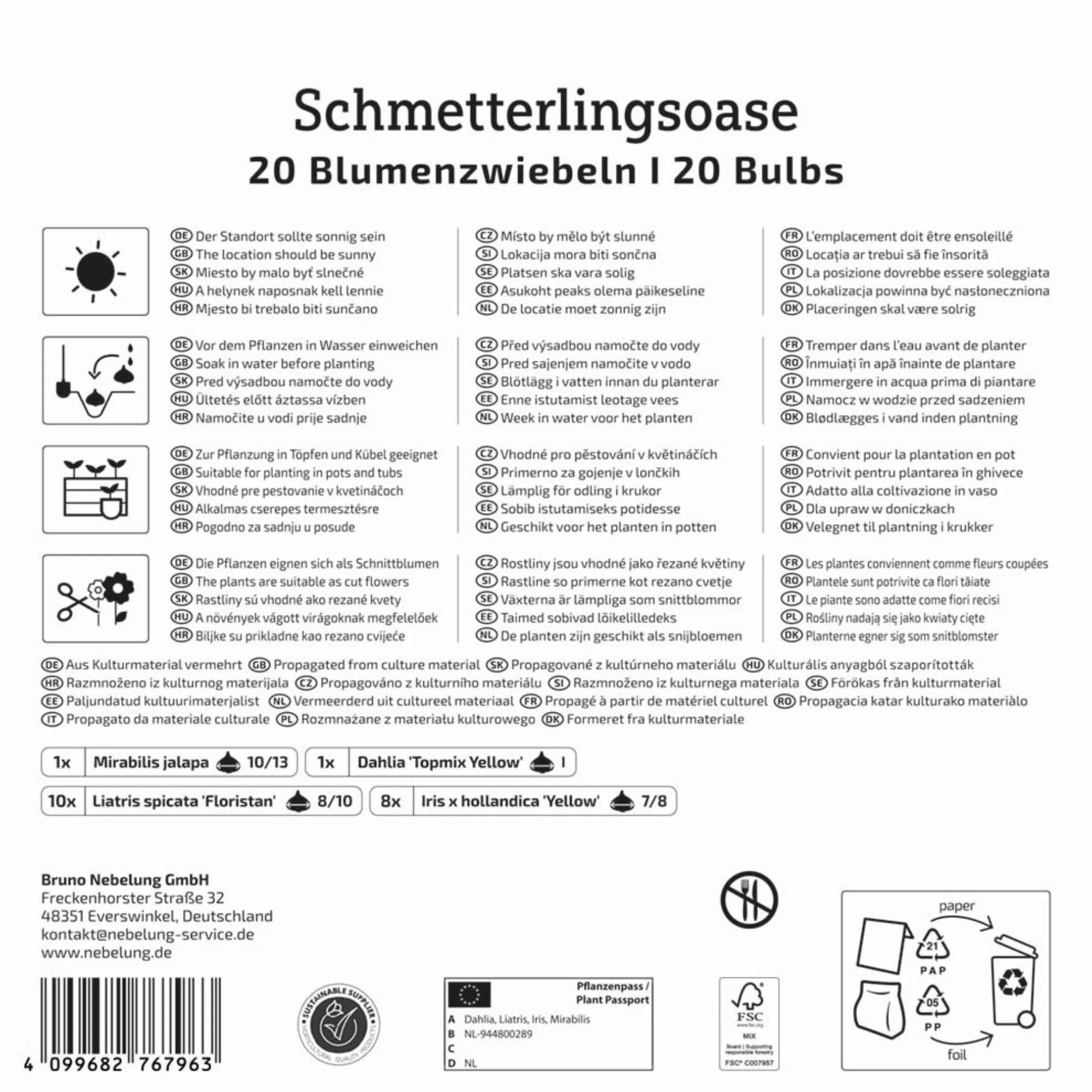 Kiepenkerl Mega-Pack Blumenzwiebelmischung 'Schmetterlings-Oase', 20 Zwiebeln - Image 2