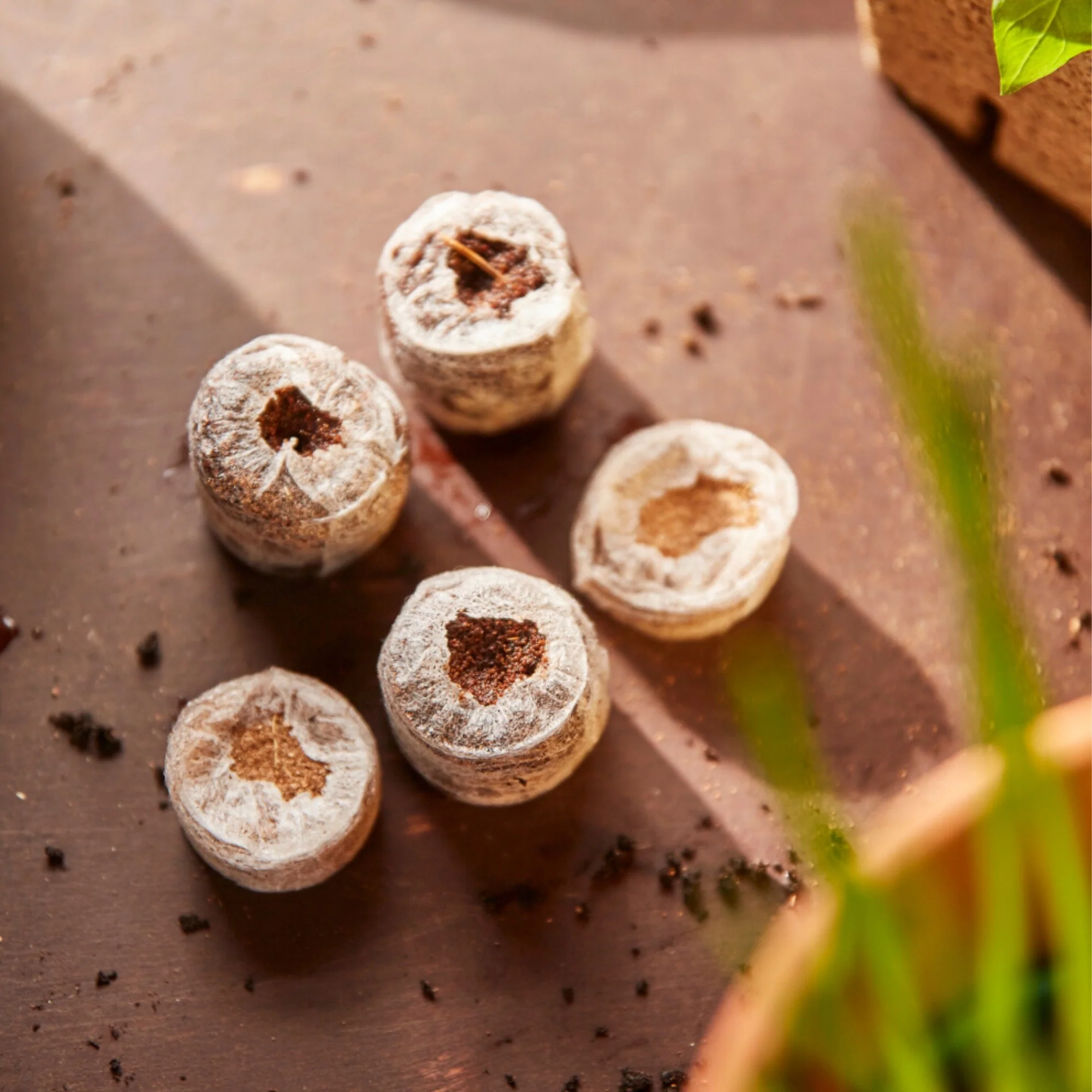 SIENA GARDEN Kokos-Quelltabletten - Image 5