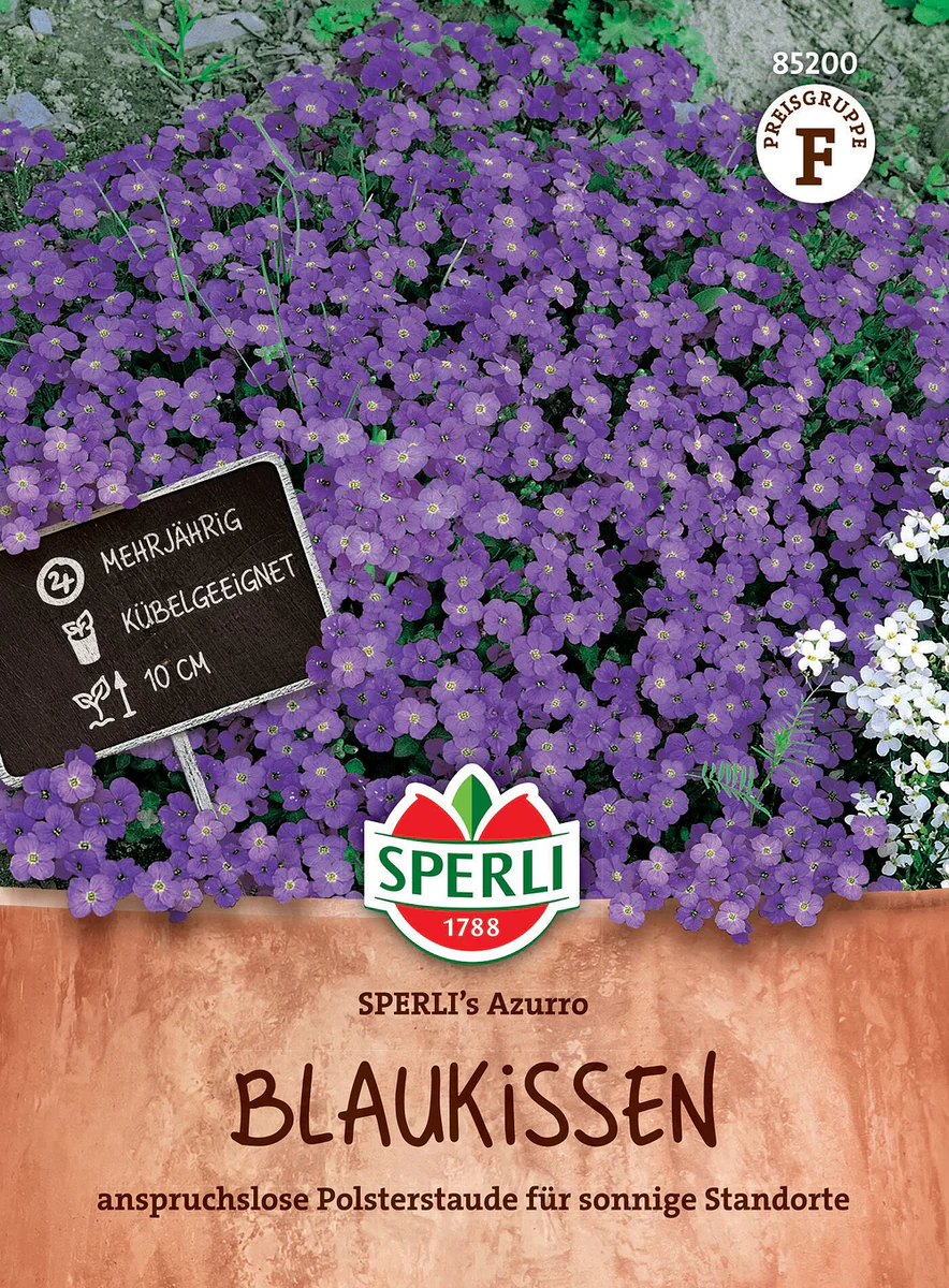 SPERLI Blaukissen-Samen 'Azurro'