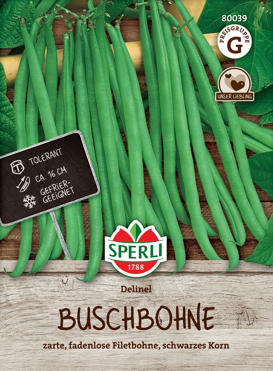 SPERLI Buschbohnen-Samen 'Delinel'