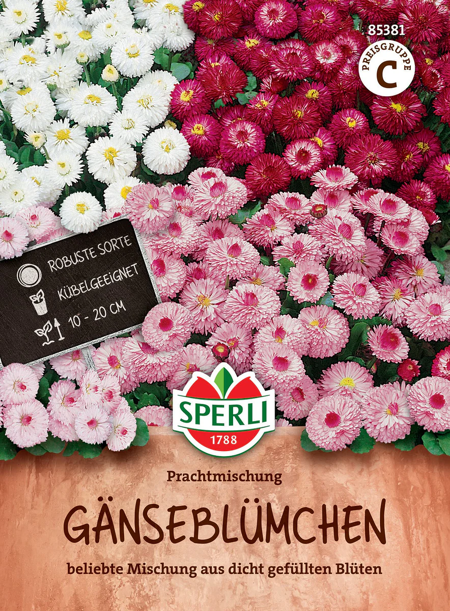SPERLI Gänseblümchen-Samen "Prachtmischung"