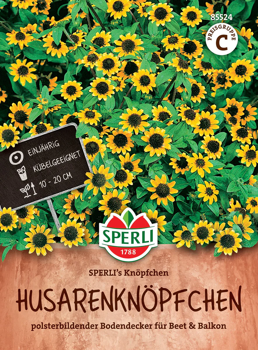 Vorschaubild 1
