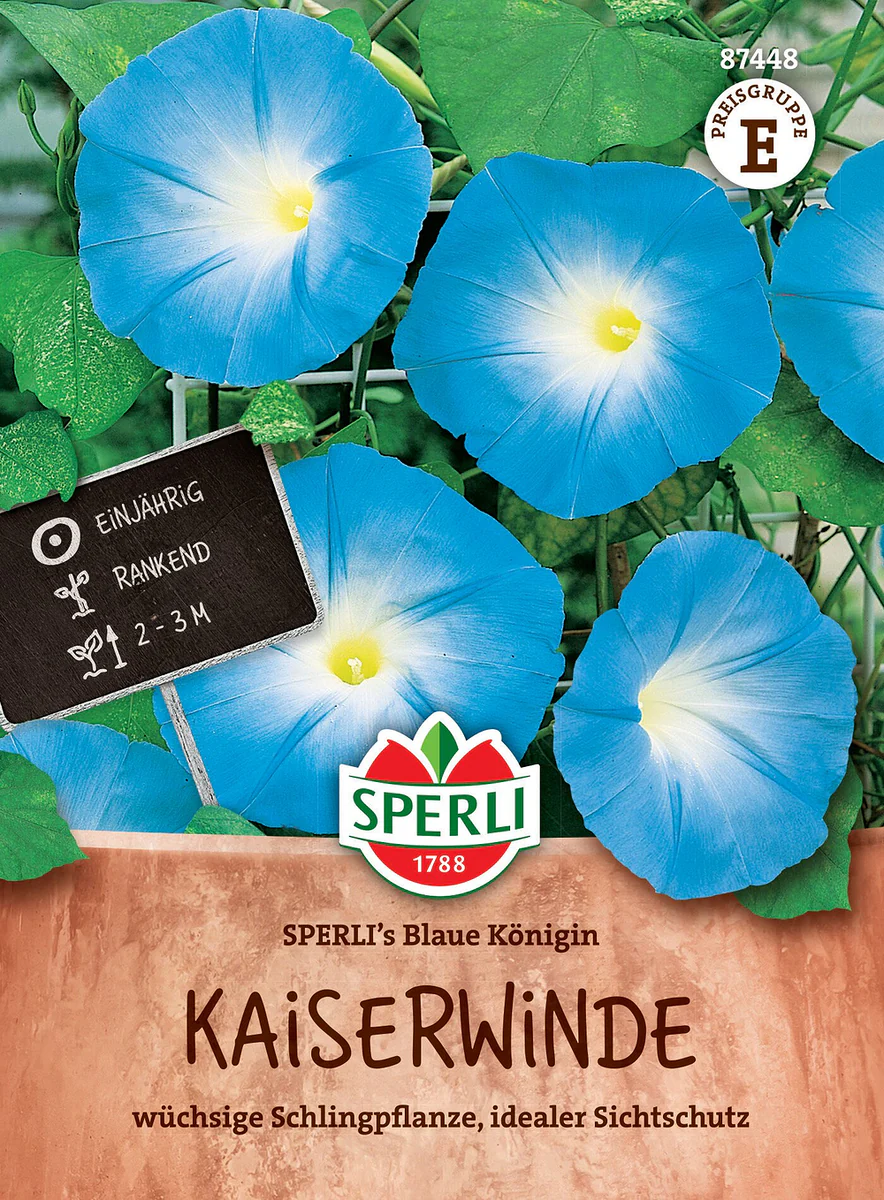 SPERLI Kaiserwinde-Samen 'Blaue Königin'