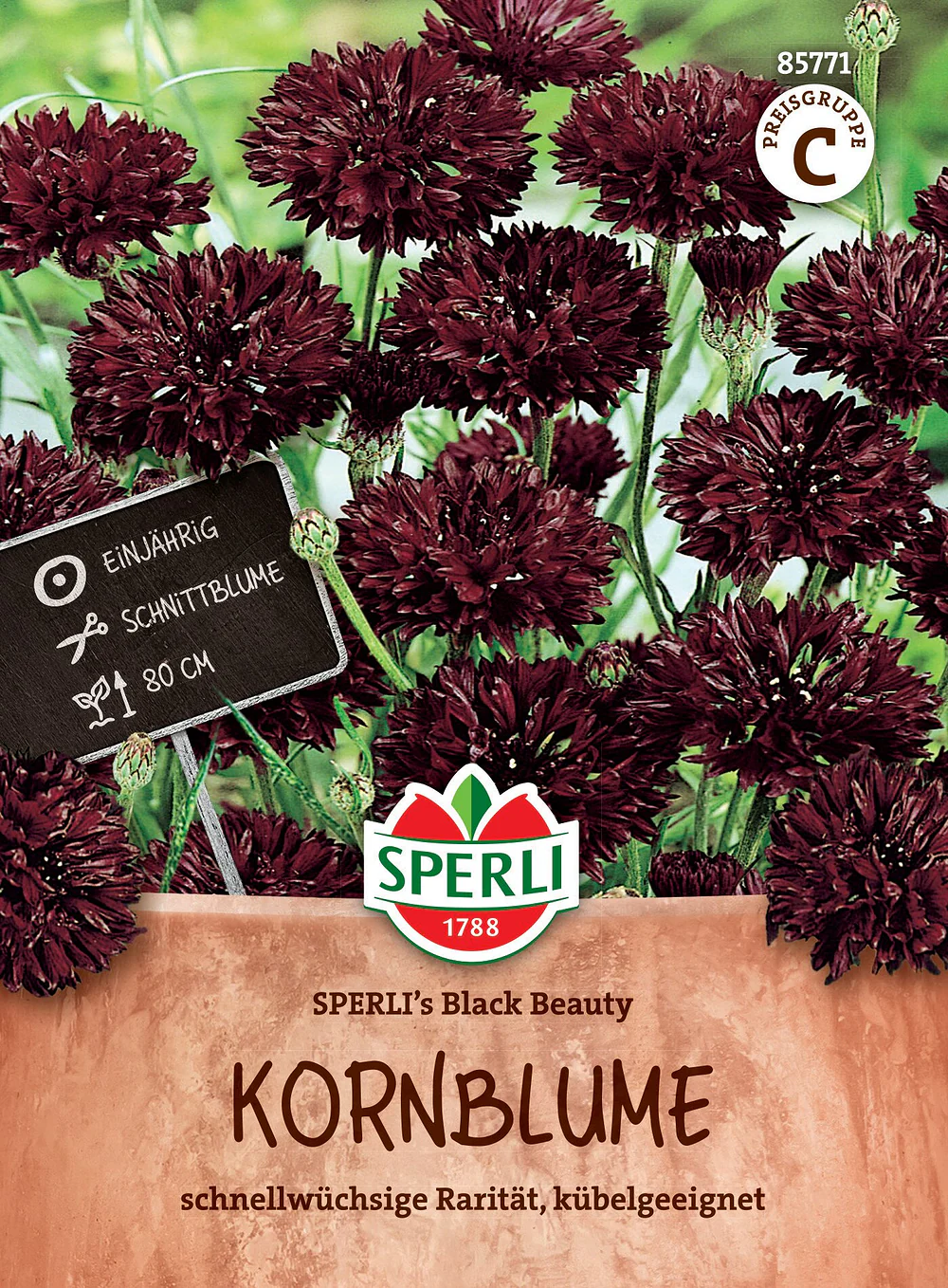 SPERLI Kornblumen-Samen 'Black Beauty'
