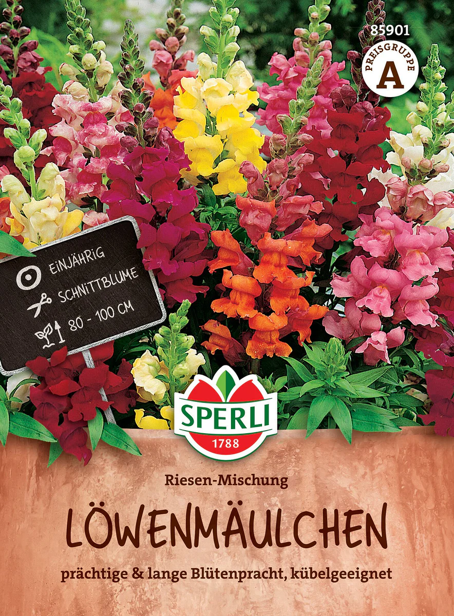 SPERLI Löwenmäulchen-Samen 'Riesen Mischung'