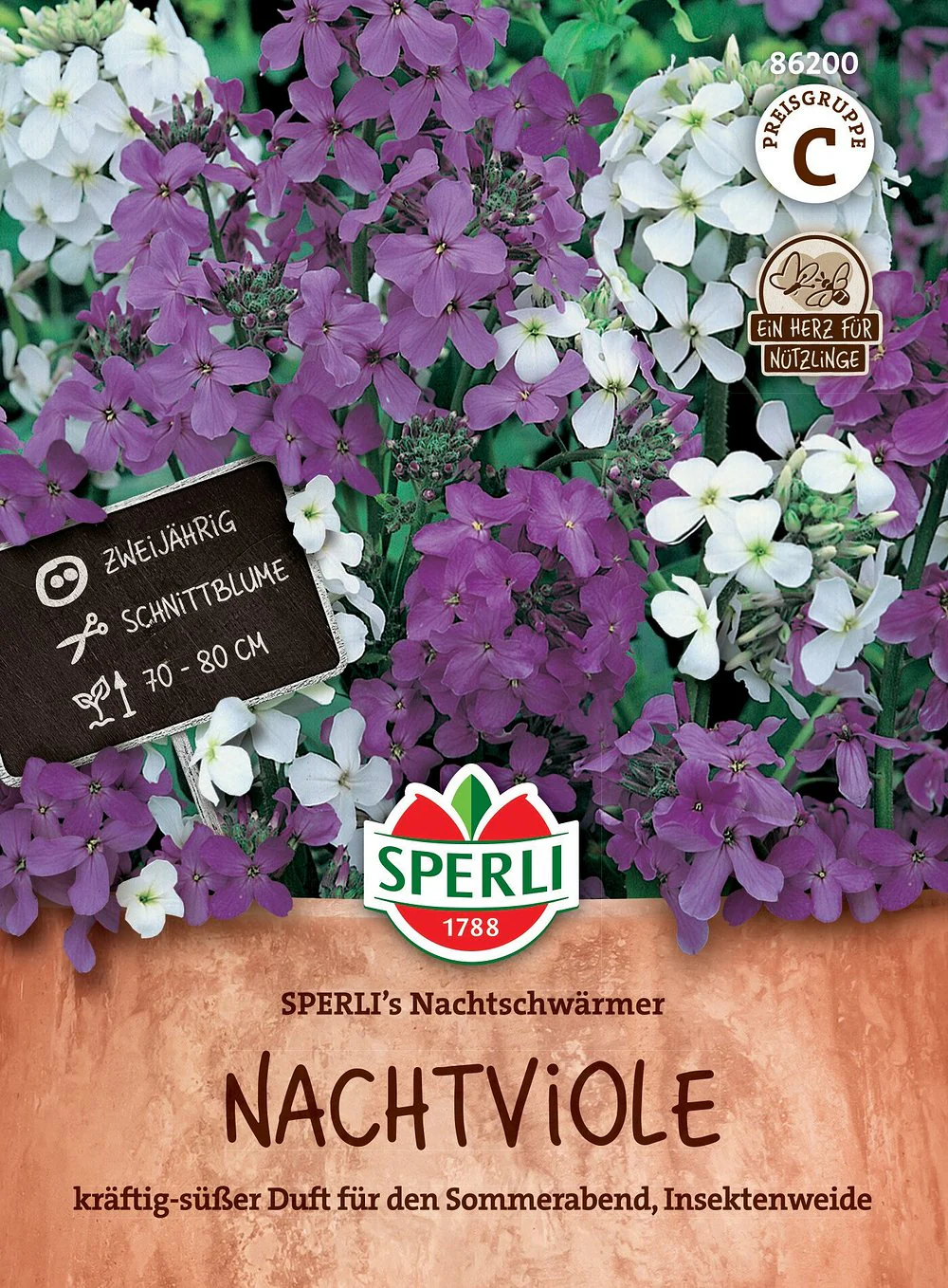 SPERLI Nachtviolen-Samen 'Nachtschwärmer'