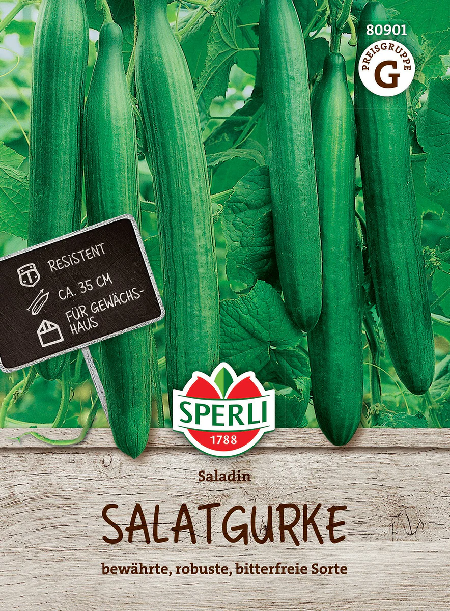 SPERLI Salatgurken-Samen 'Saladin', F1