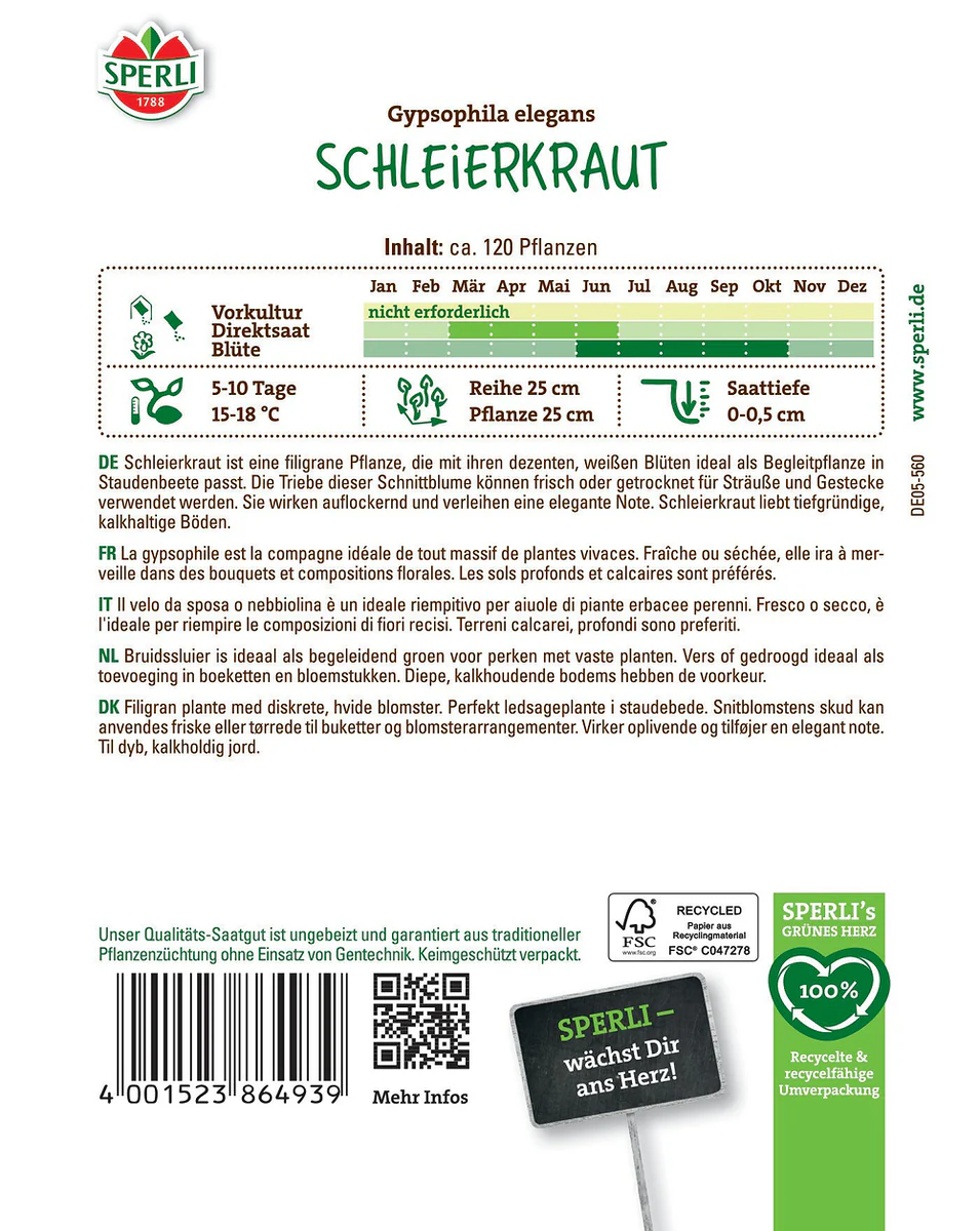 SPERLI Schleierkraut-Samen - Image 2